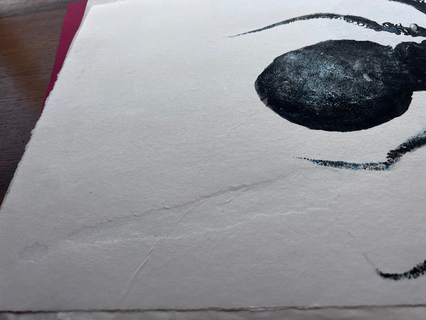 Gyotaku impression taken from the surface of an Octopus