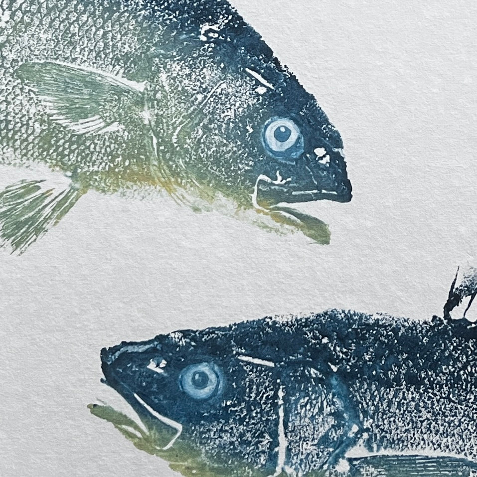 Anglesey Sea Bass Duo Gyotaku