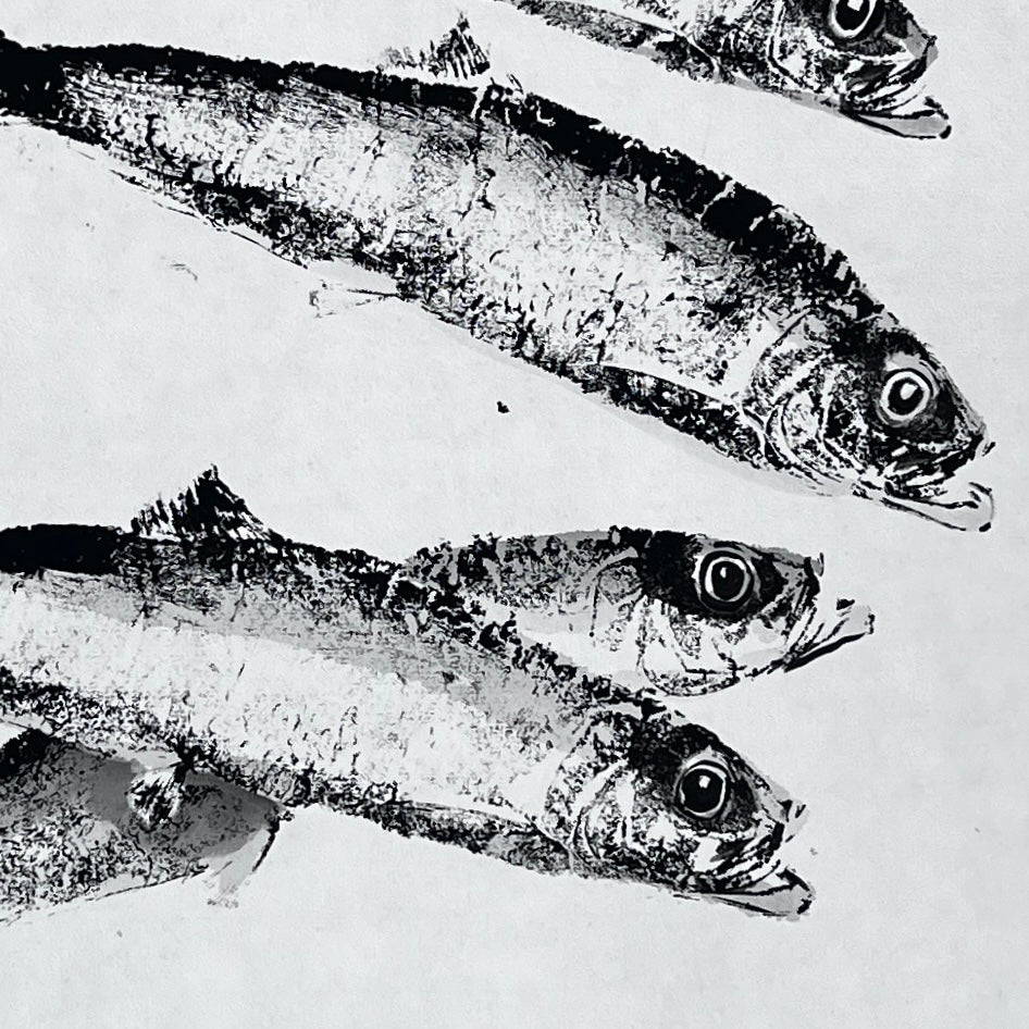 Herring Gyotaku Print finished with watercolour