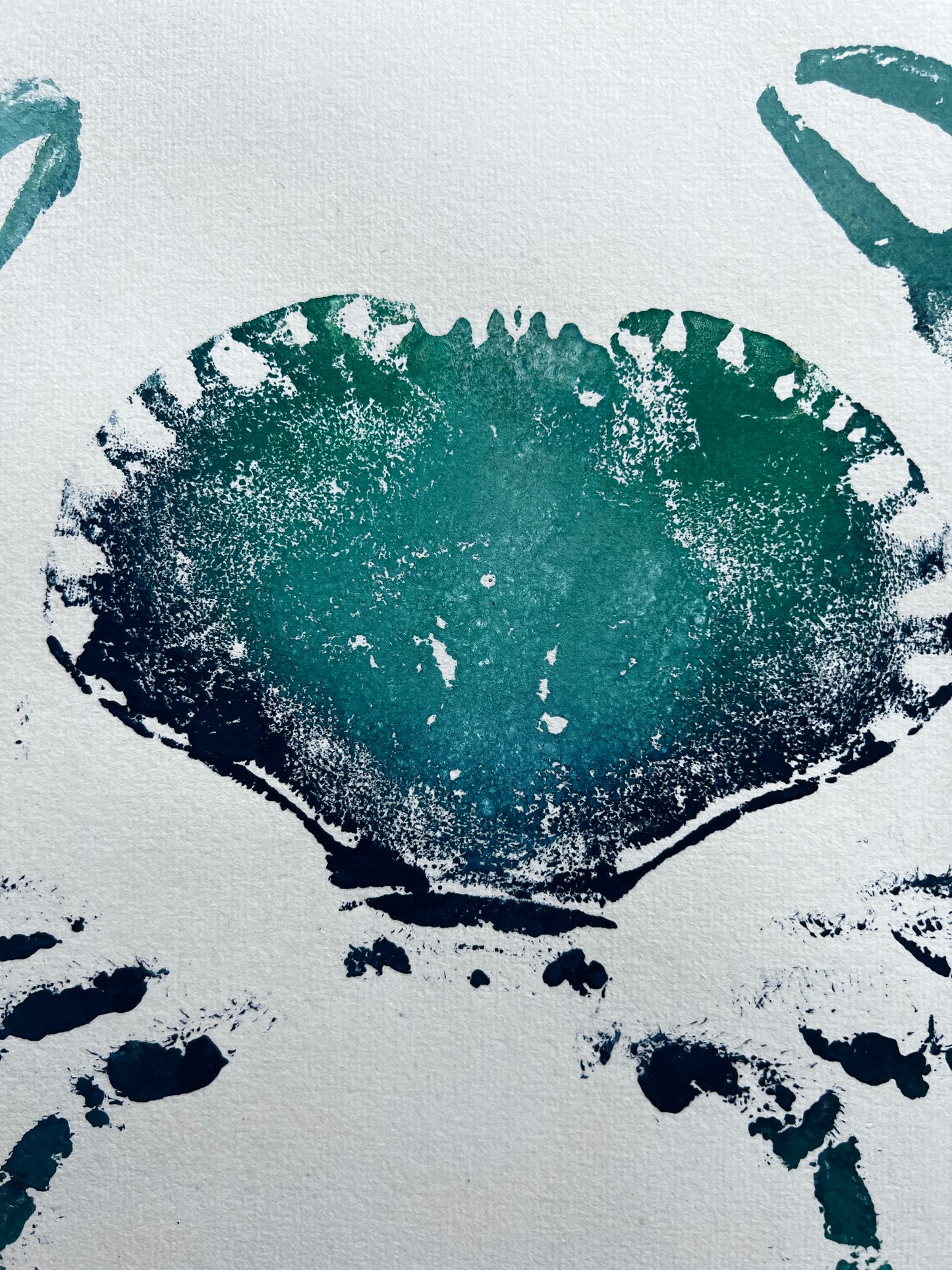 Gyotaku impression taken from the surface of an Anglesey Crab