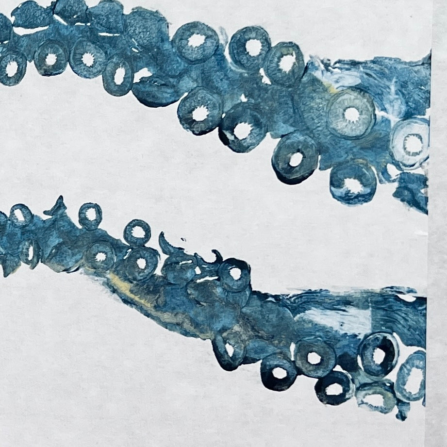 Gyotaku Impression taken from Octopus Vulgaris Tentacles