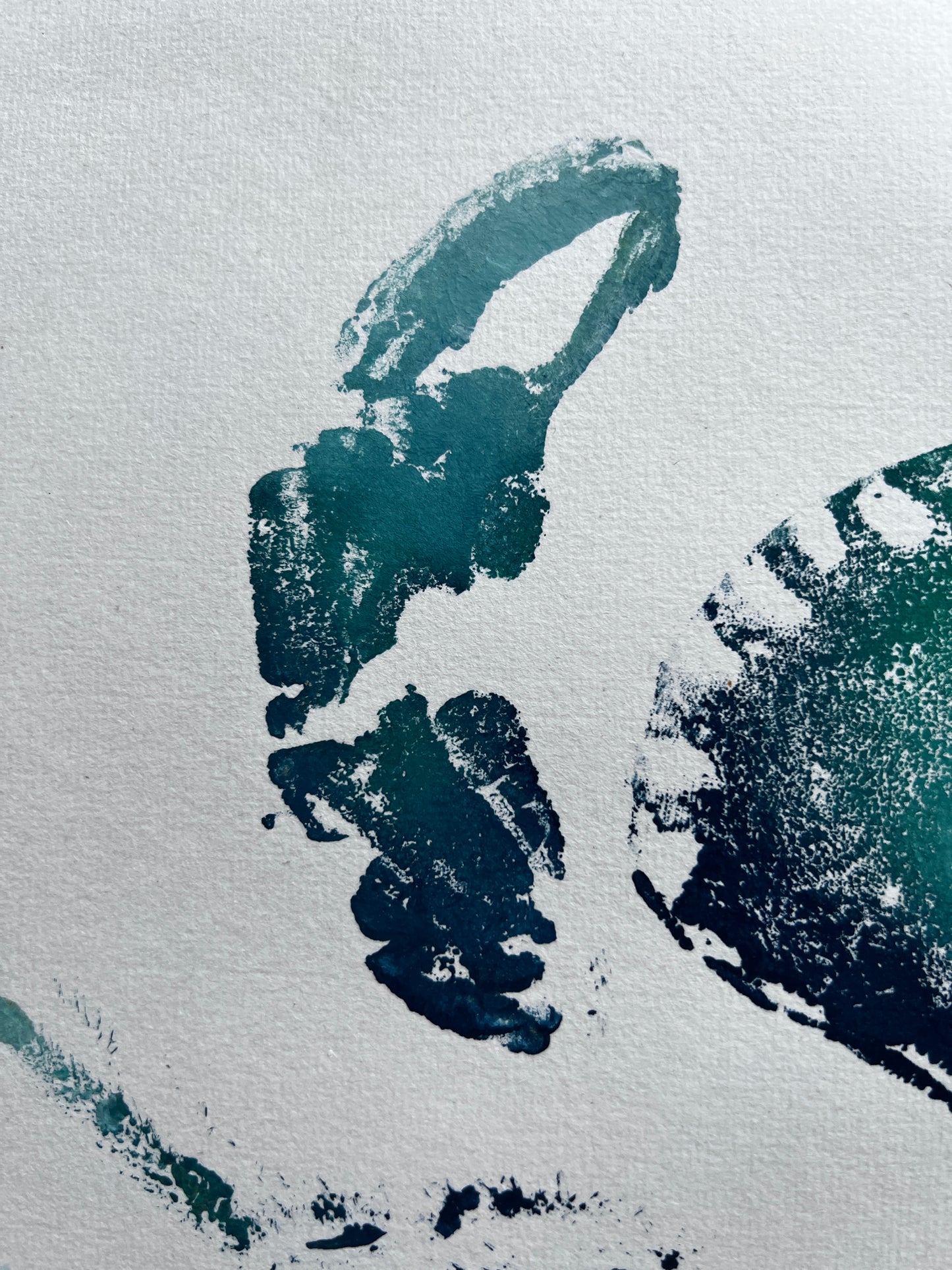 Gyotaku impression taken from the surface of an Anglesey Crab