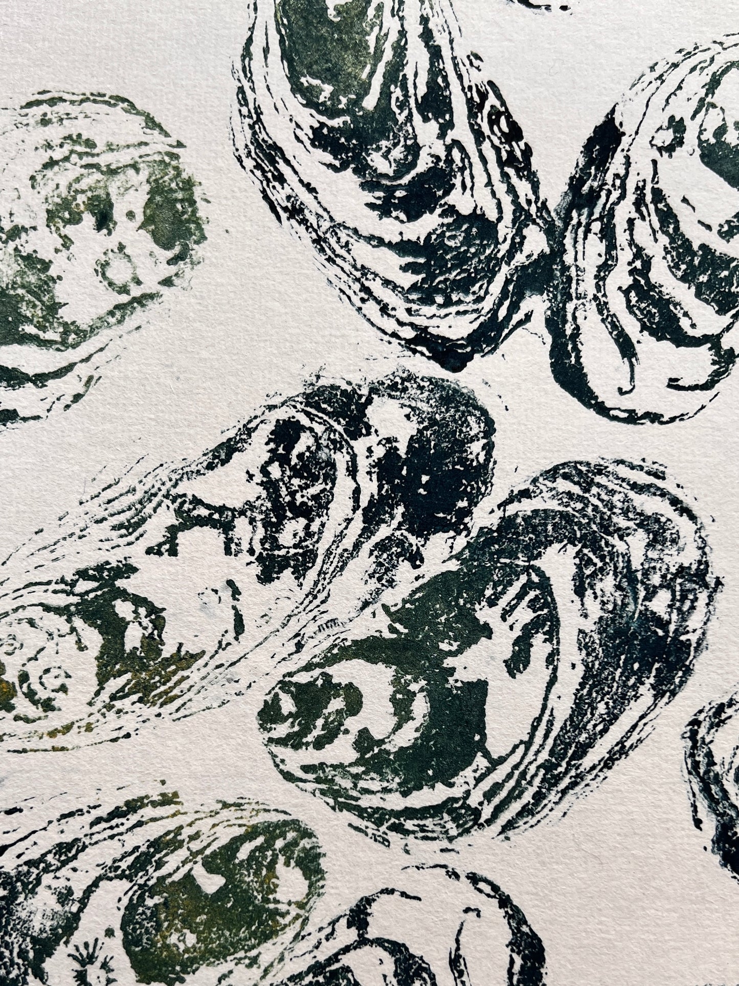 Gyotaku Impression taken from the surface of Pacific Oyster Shells