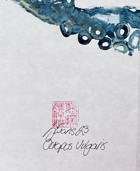 Gyotaku Impression taken from Octopus Vulgaris Tentacles