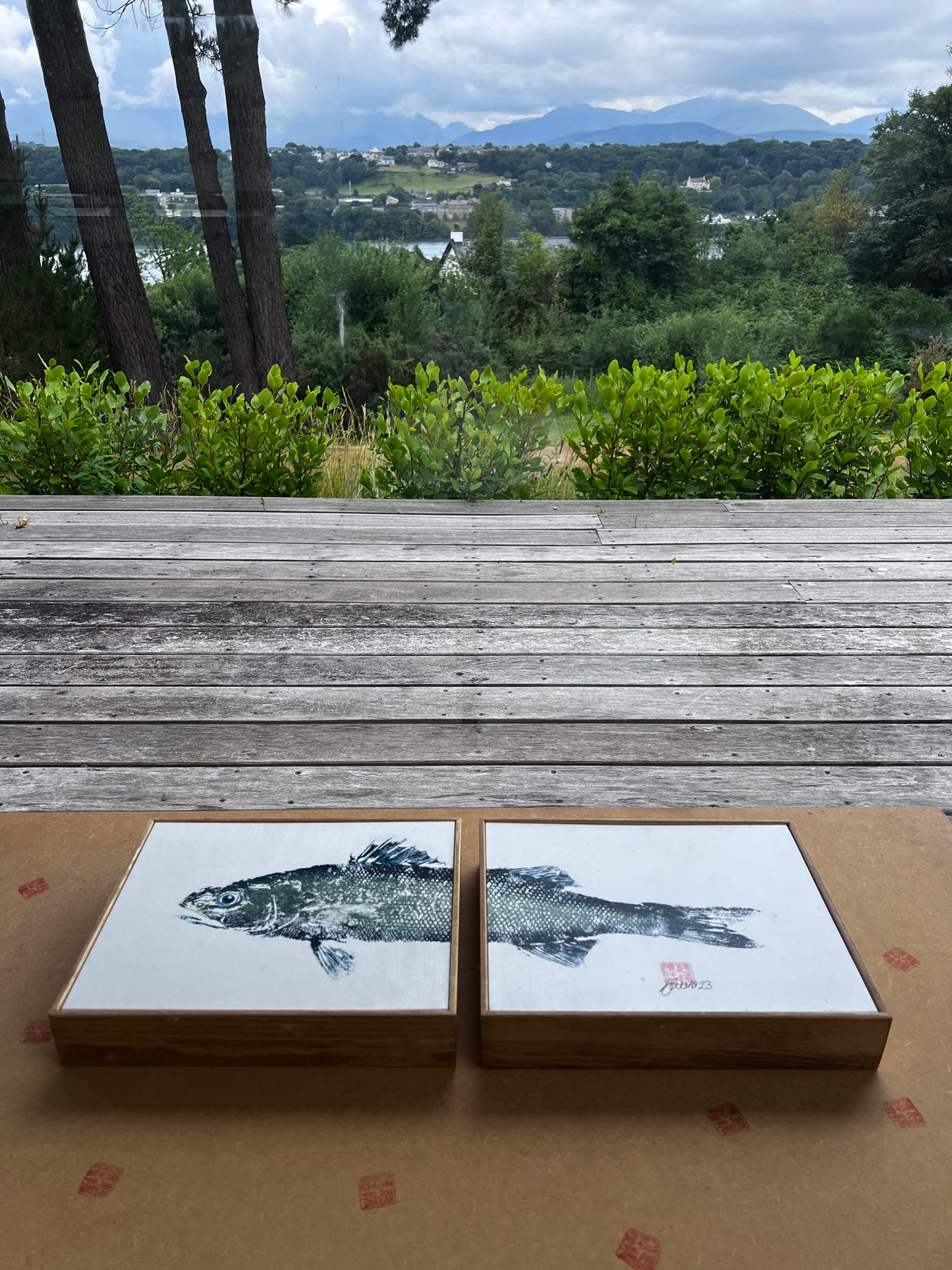 Anglesey Sea Bass Diptych Gyotaku Print