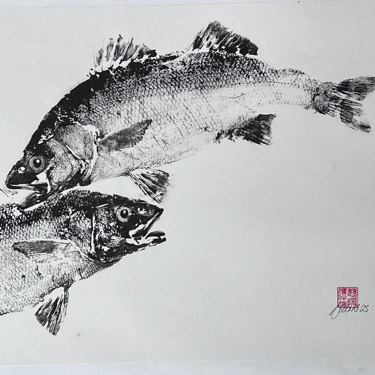 Anglesey Sea Bass Duo Gyotaku Print using Sumi Ink