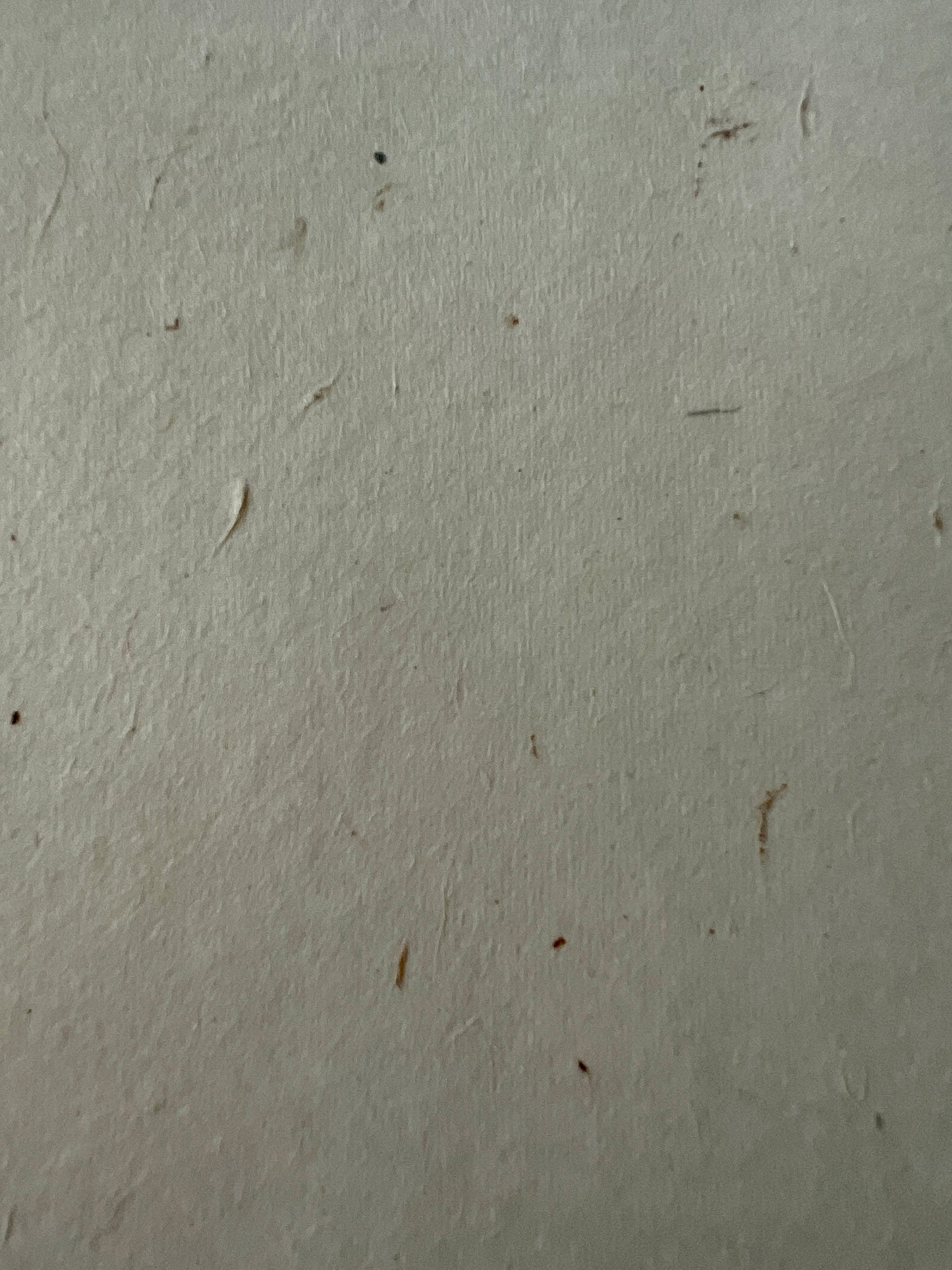 Gyotaku impression taken from a Blue Fin Tuna Tail