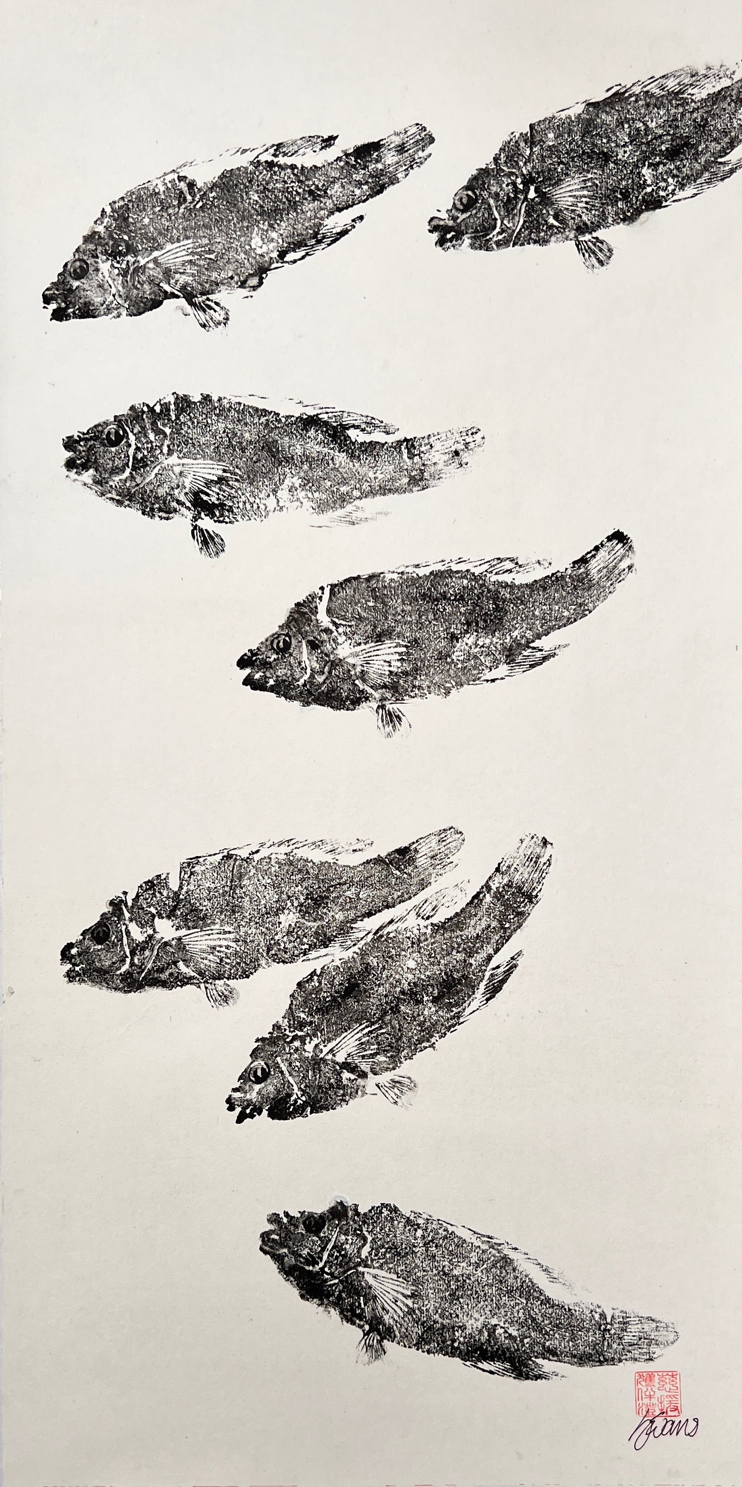 Wrasse Gyotaku Print in Black Ink