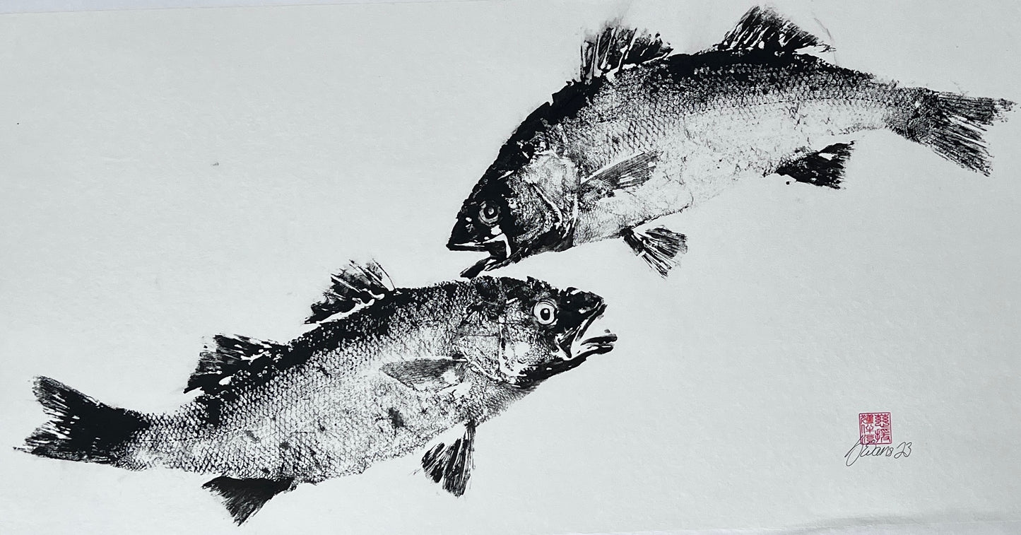 Anglesey Sea Bass Duo Gyotaku Print using Sumi Ink
