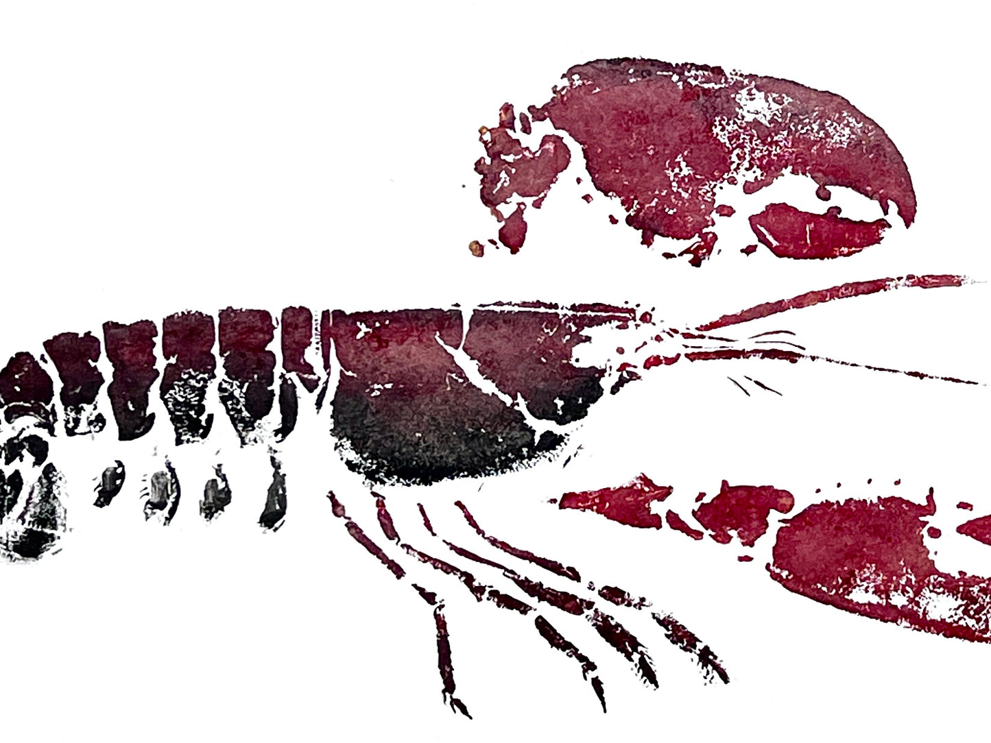 Menai Strait Lobster, Gyotaku Printed and Wet Mounted.