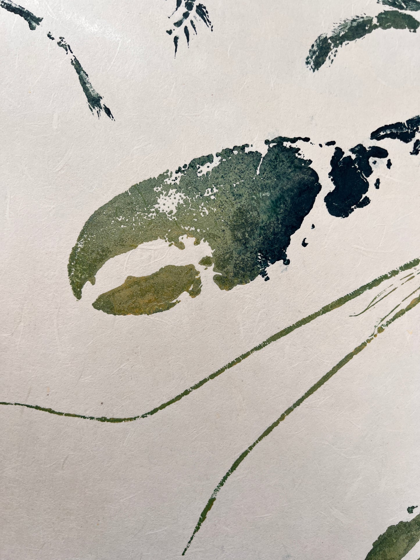 Menai Strait Lobsters, Gyotaku Printed and Wet Mounted.