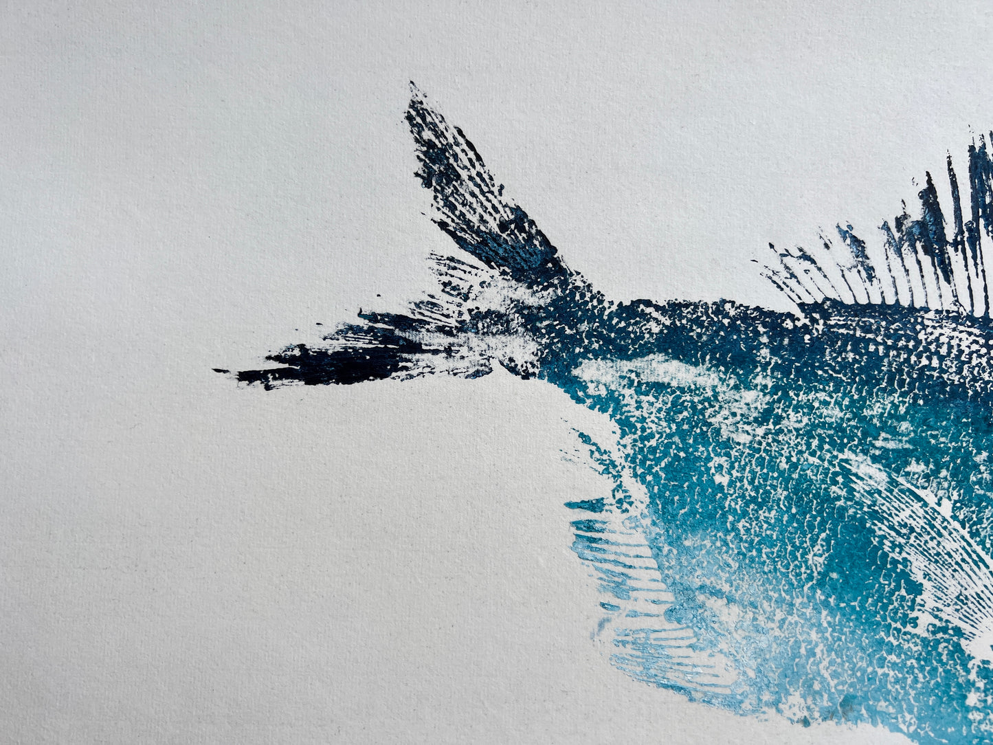 Bullseye Gyotaku Print, Capbreton, France