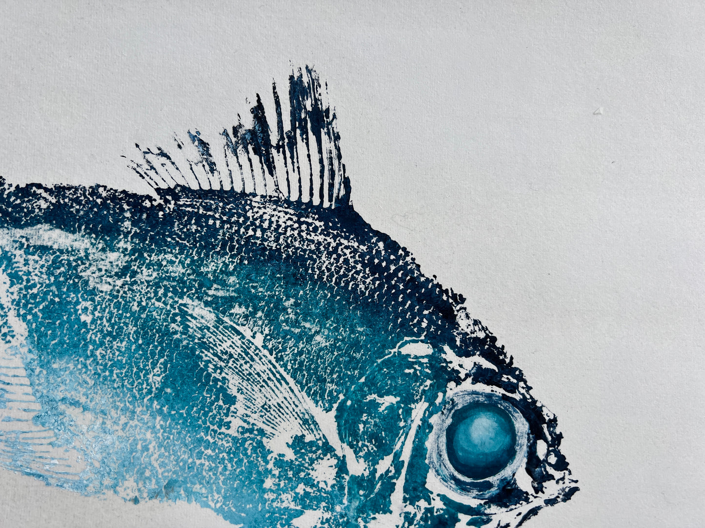 Bullseye Gyotaku Print, Capbreton, France