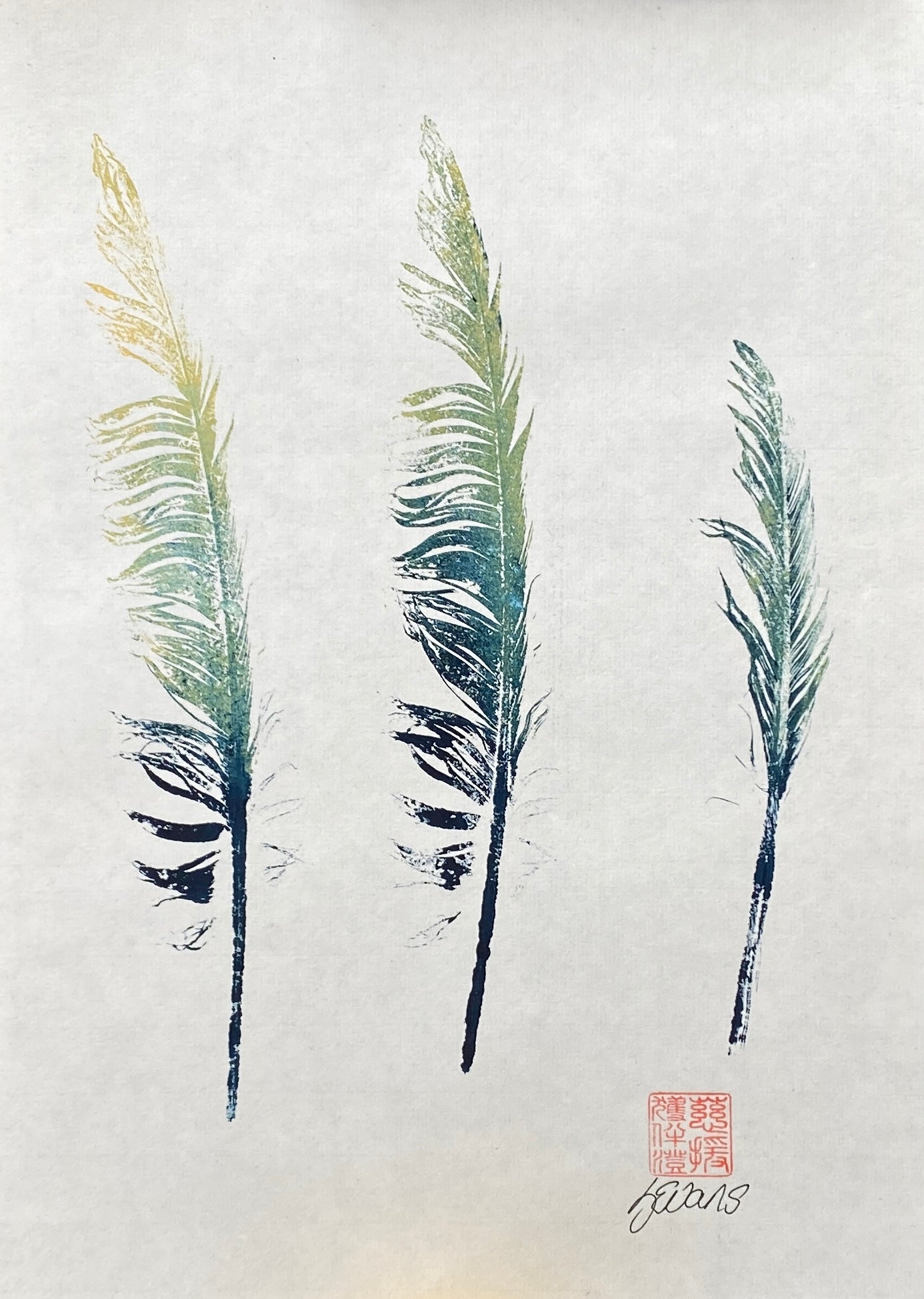 Feathers Print Anglesey North Wales