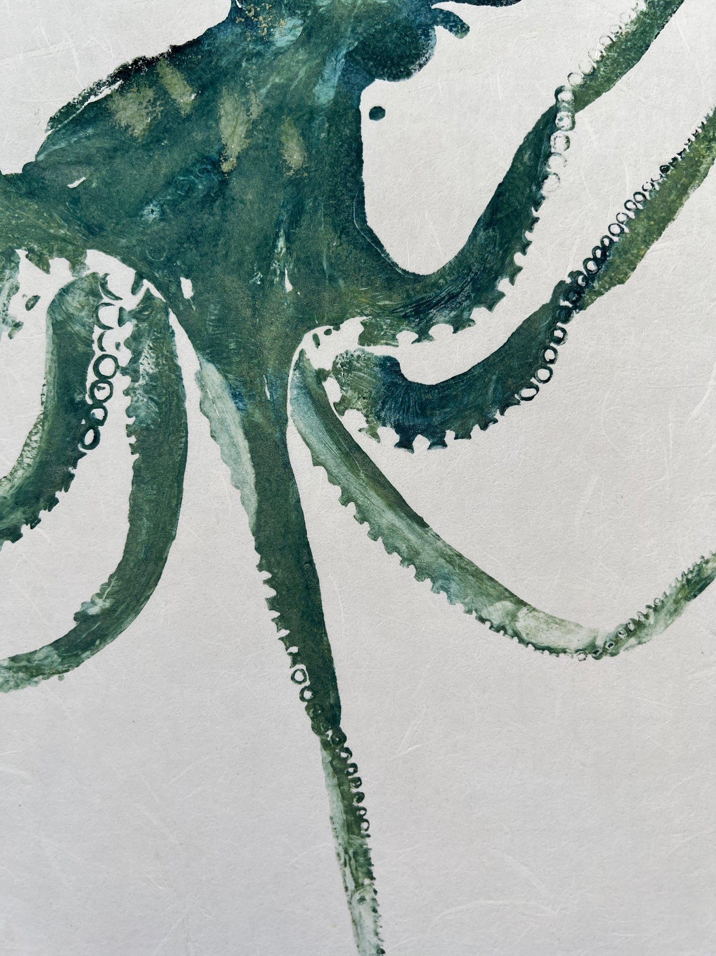 Octopus Gyotaku Printed and Wet Mounted.