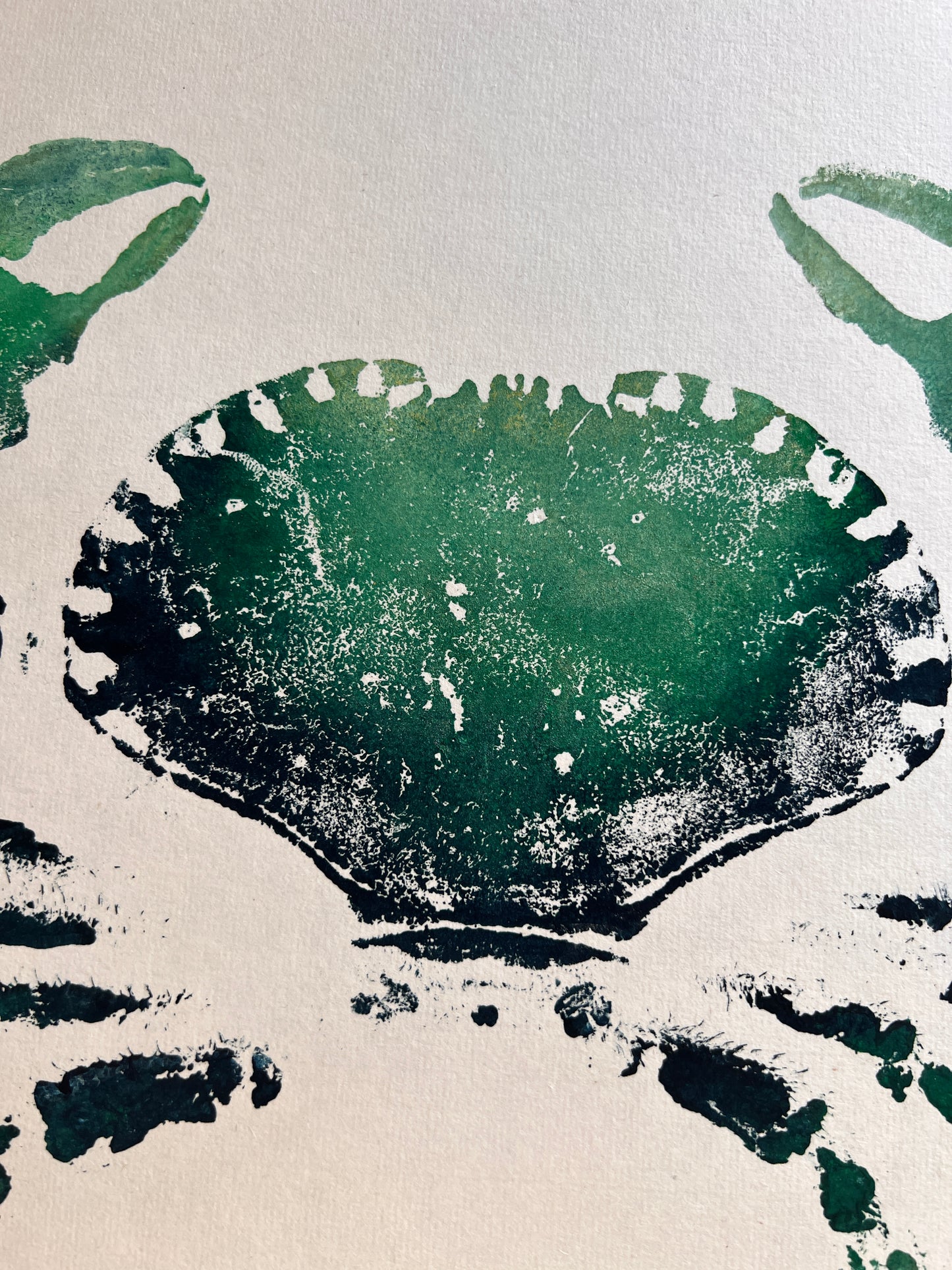 Hand Printed Gyotaku Anglesey Crab