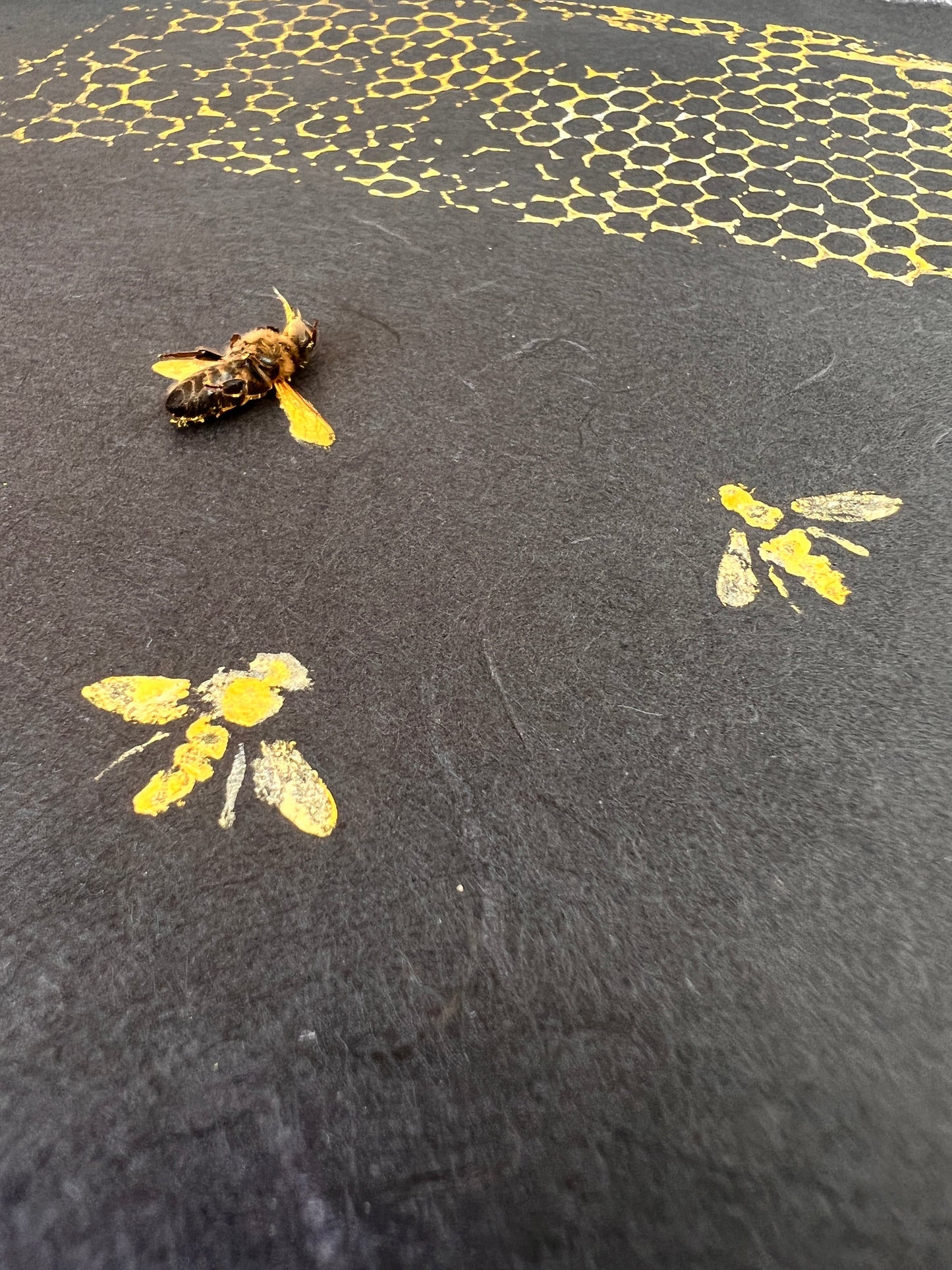 Manchester Bees and Honeycomb Gyotaku Print