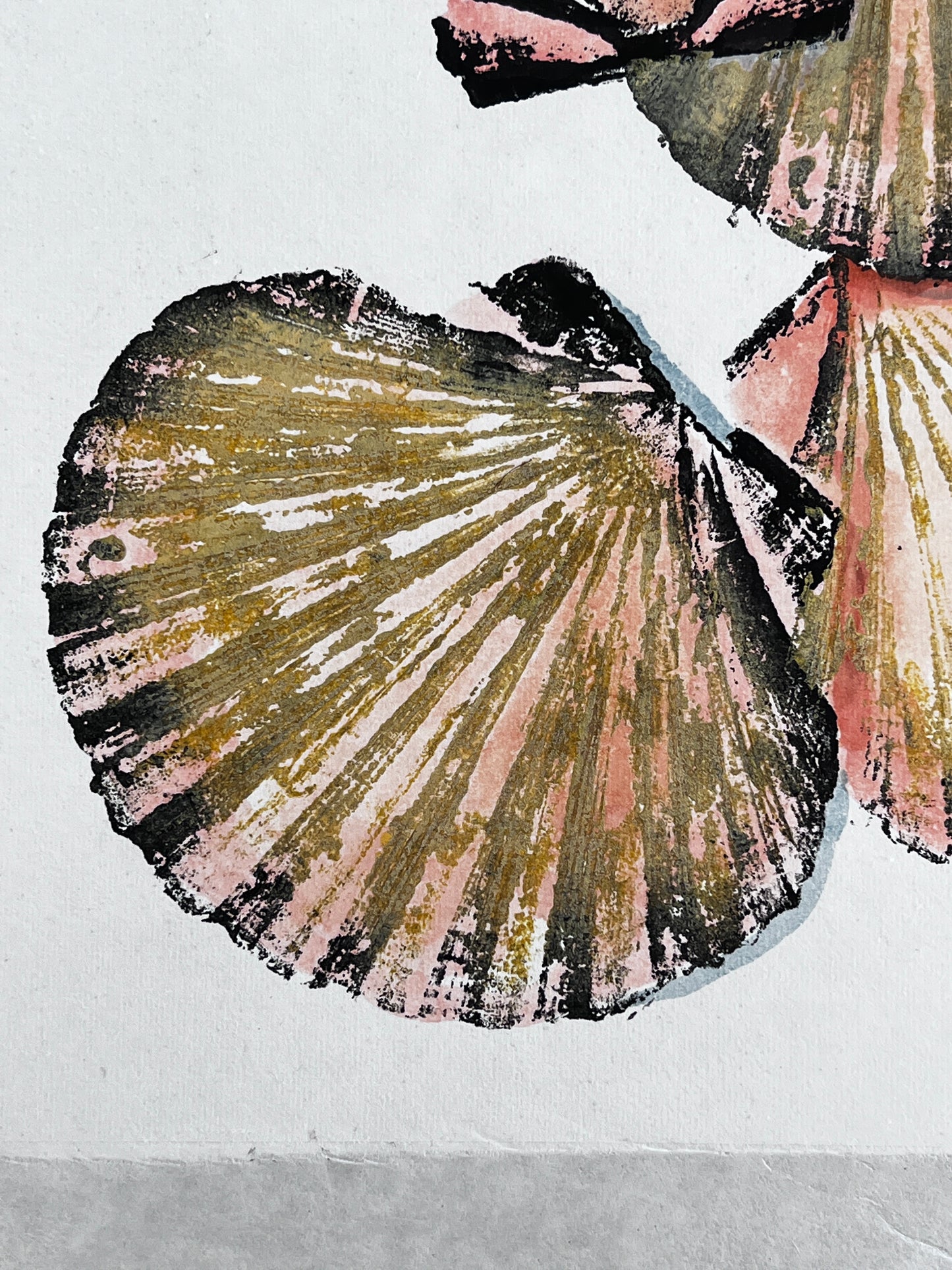 Hand Painted Multiple Scallop Shell Gyotaku Print, Wet Mounted