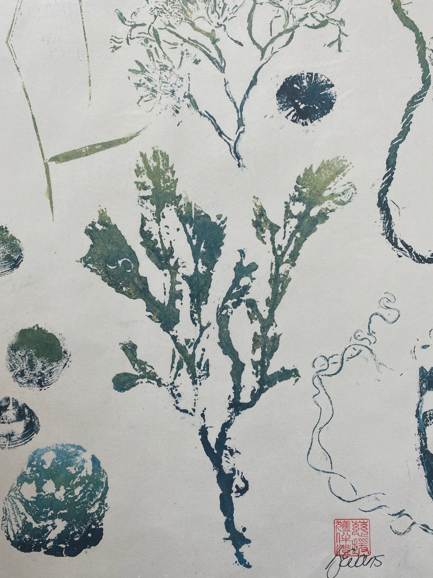 Seaweed Print