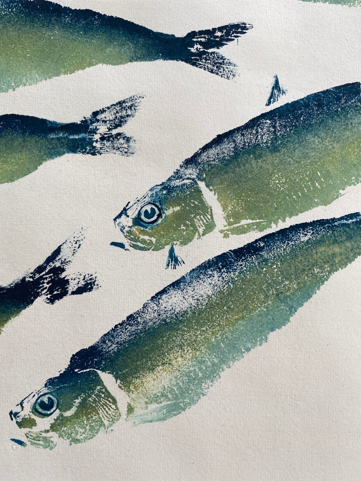 Anglesey North Wales Fish Print Sardines