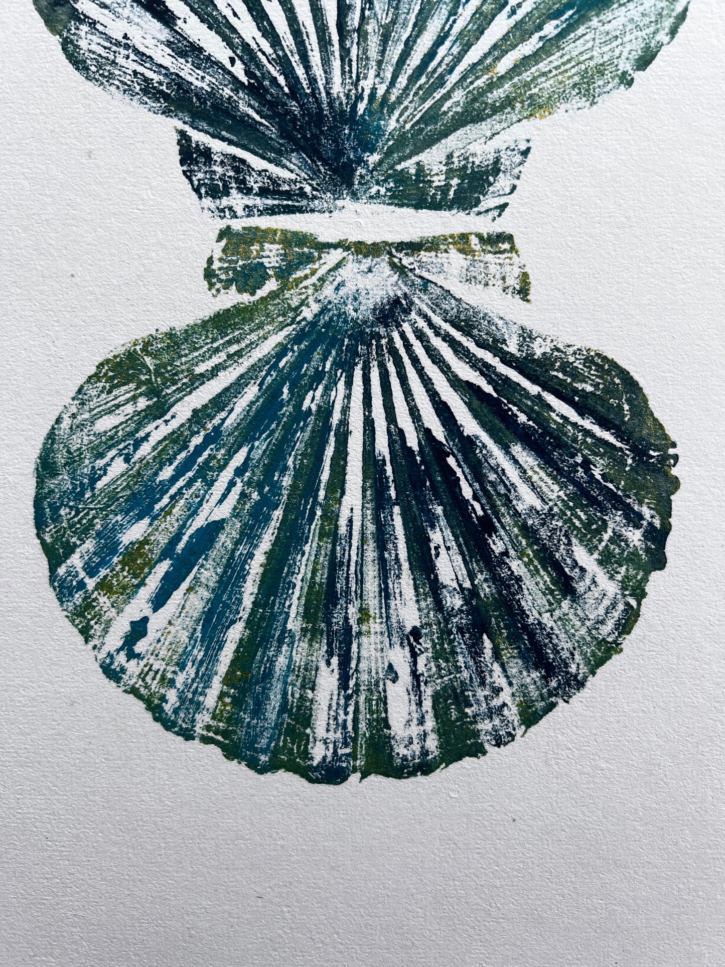 Scallop Shell Gyotaku Print, Wet Mounted