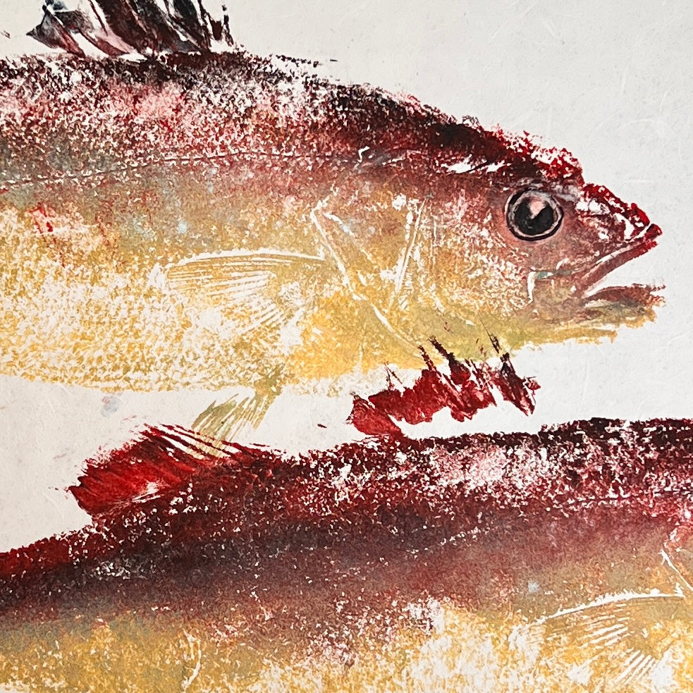Menai Strait, Line Caught Sea Bass Gyotaku Printed and Wet Mounted.