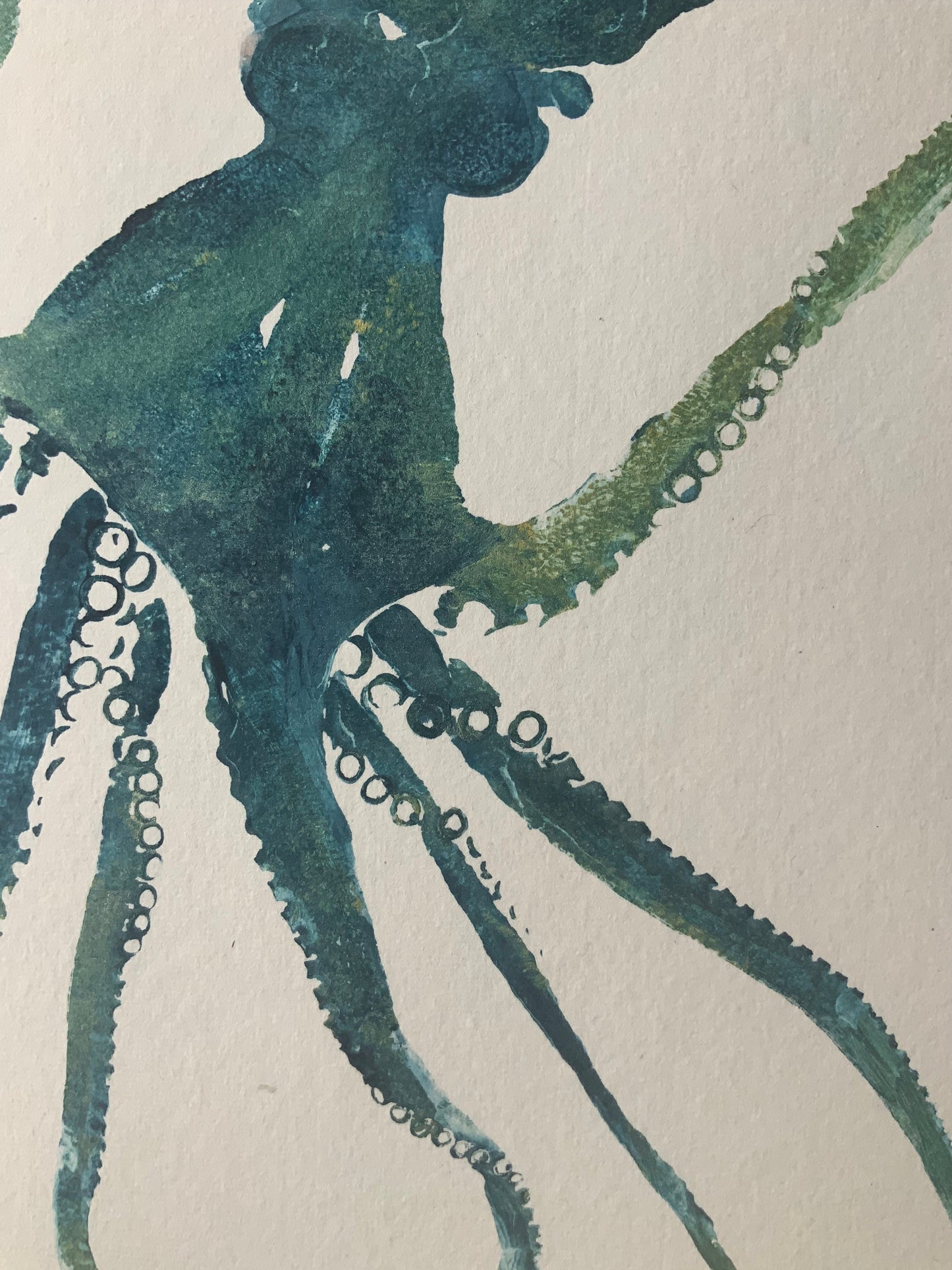 Octopus Gyotaku Printed and Wet Mounted.