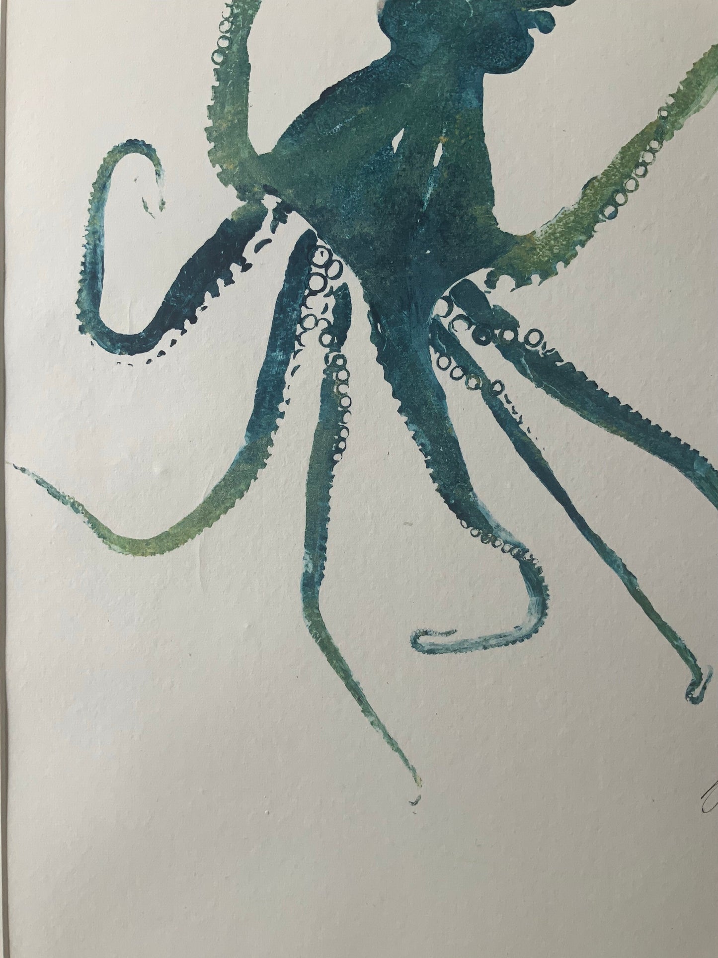 Octopus Gyotaku Printed and Wet Mounted.