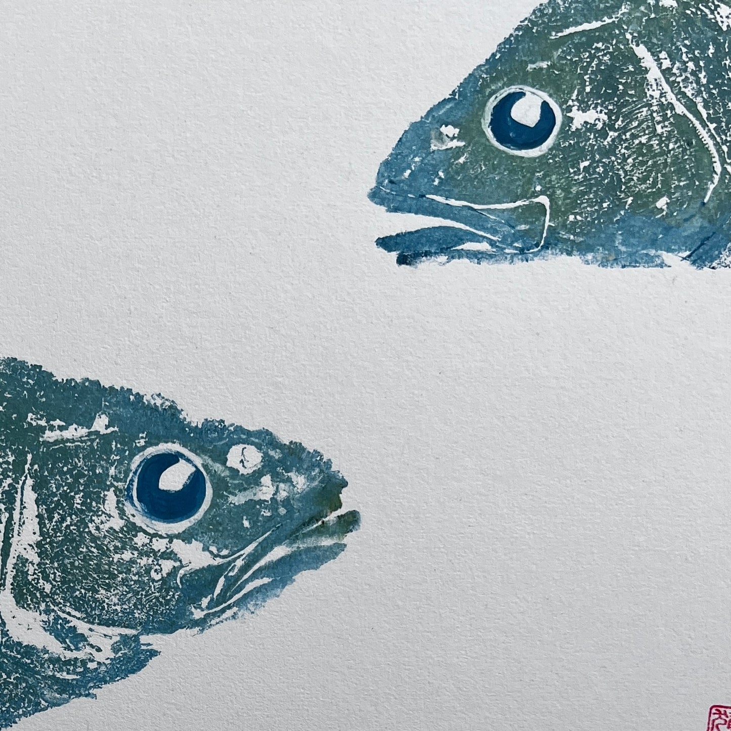 Menai Strait, Line Caught, Sea Bass Heads Duo Gyotaku Printed and Wet Mounted.
