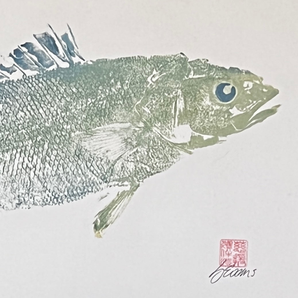 Anglesey Sea Bass Diptych Gyotaku Print