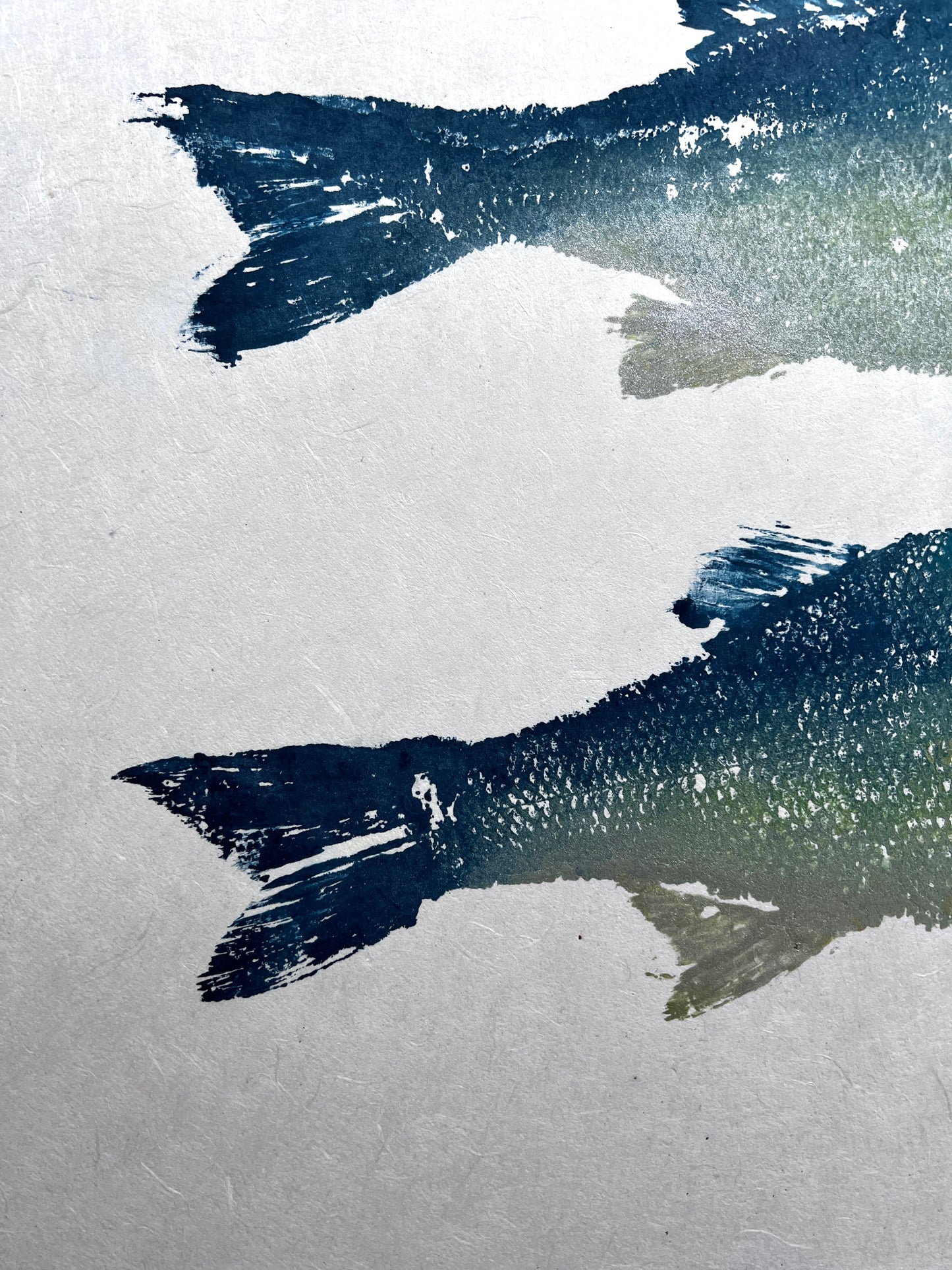 Menai Strait, Line Caught Sea Bass Gyotaku Printed and Wet Mounted.