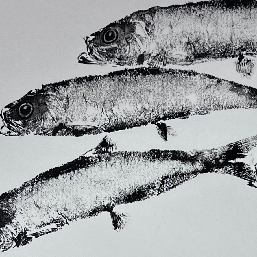 Herring Gyotaku Print