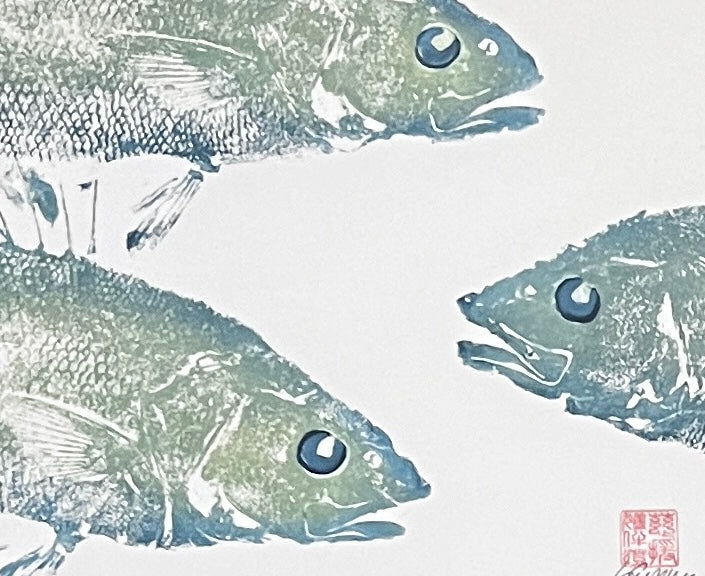 Anglesey Sea Bass Diptych Gyotaku Print