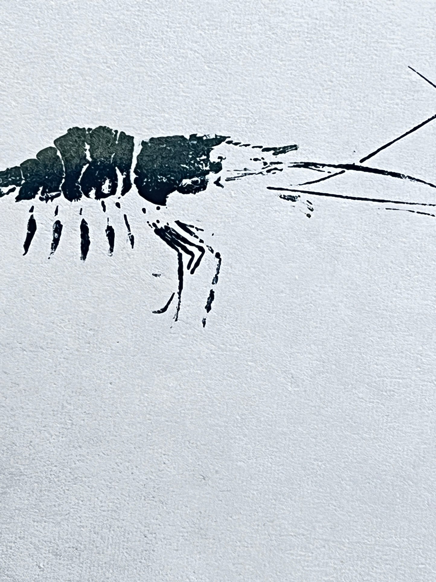 Duo print of Menai Strait Prawn