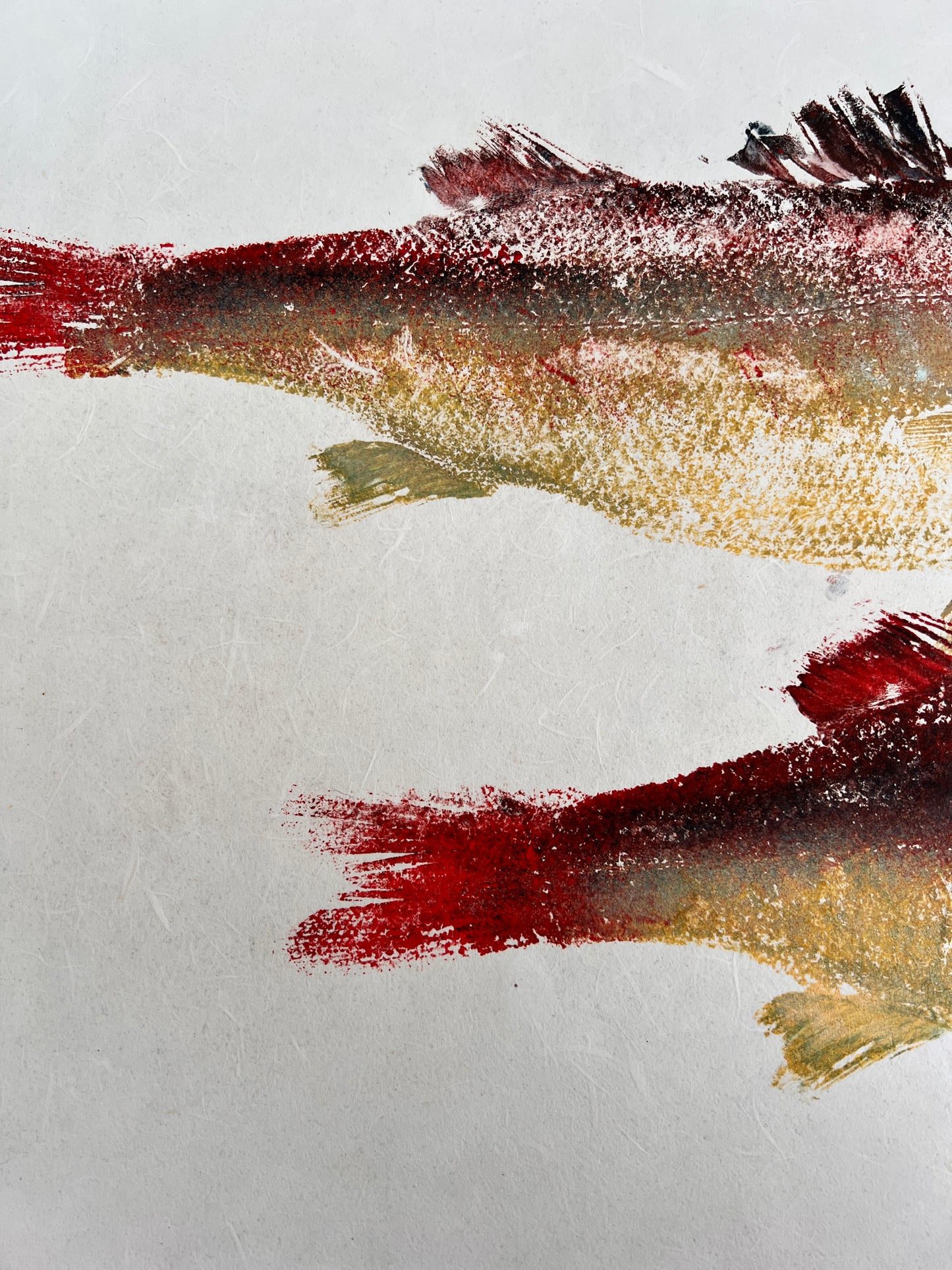 Menai Strait, Line Caught Sea Bass Gyotaku Printed and Wet Mounted.