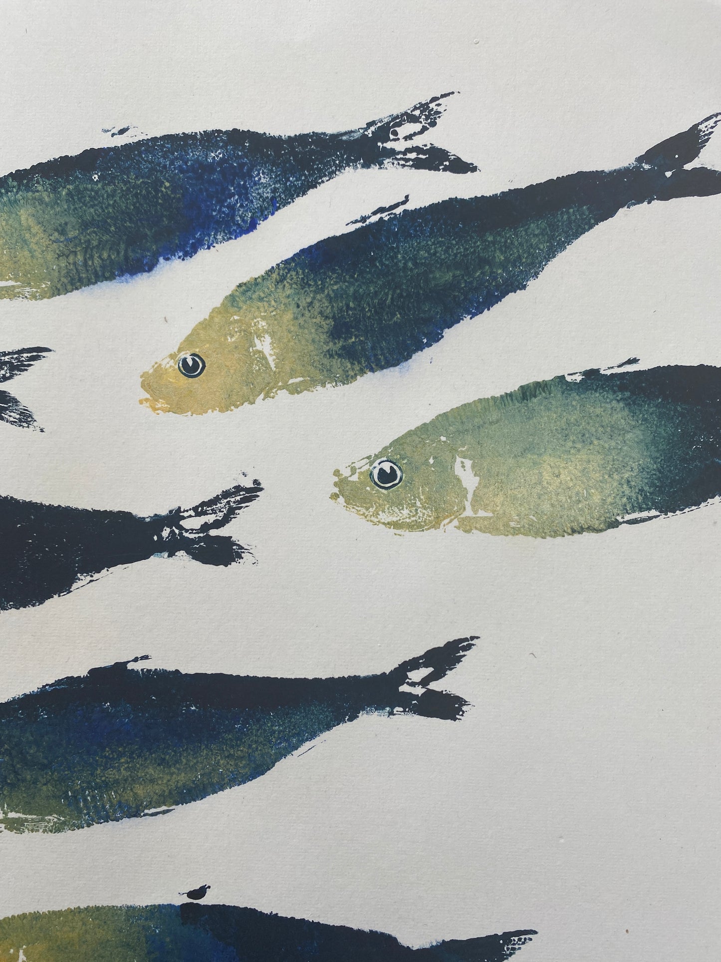 Sardines Gyotaku Print