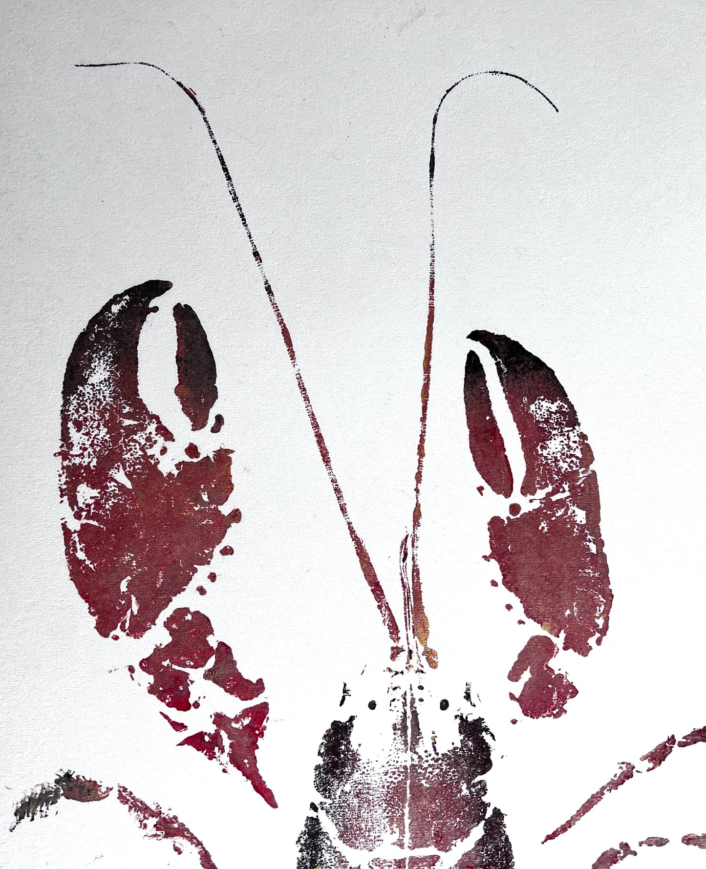Hand Printed Lobster from Anglesey by Jane Evans