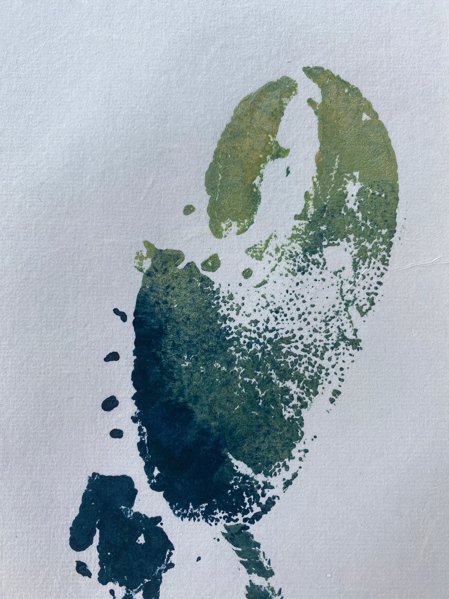 Menai Strait Lobster, Gyotaku Printed and Wet Mounted.