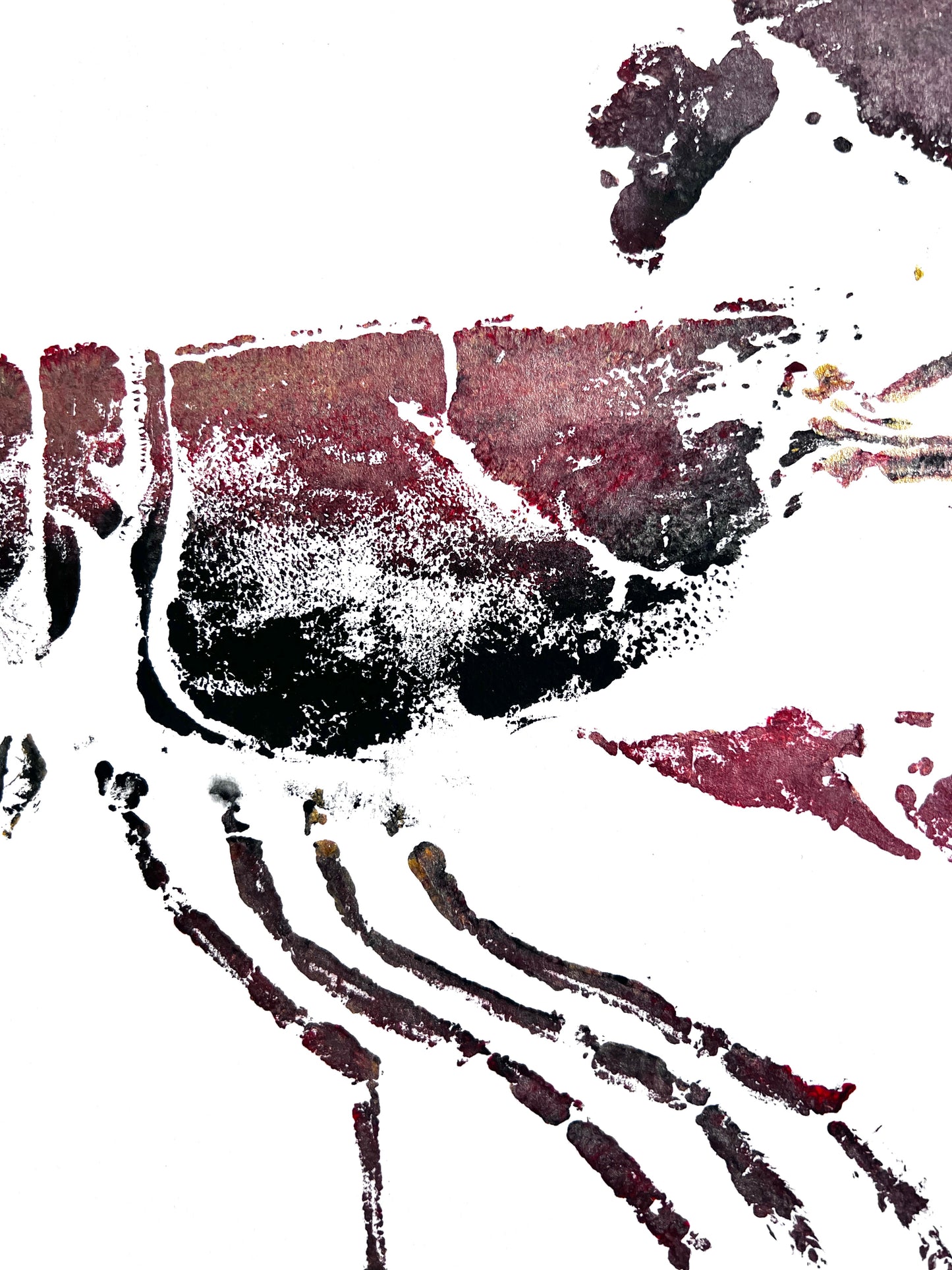 Menai Strait Lobster, Gyotaku Printed and Wet Mounted.