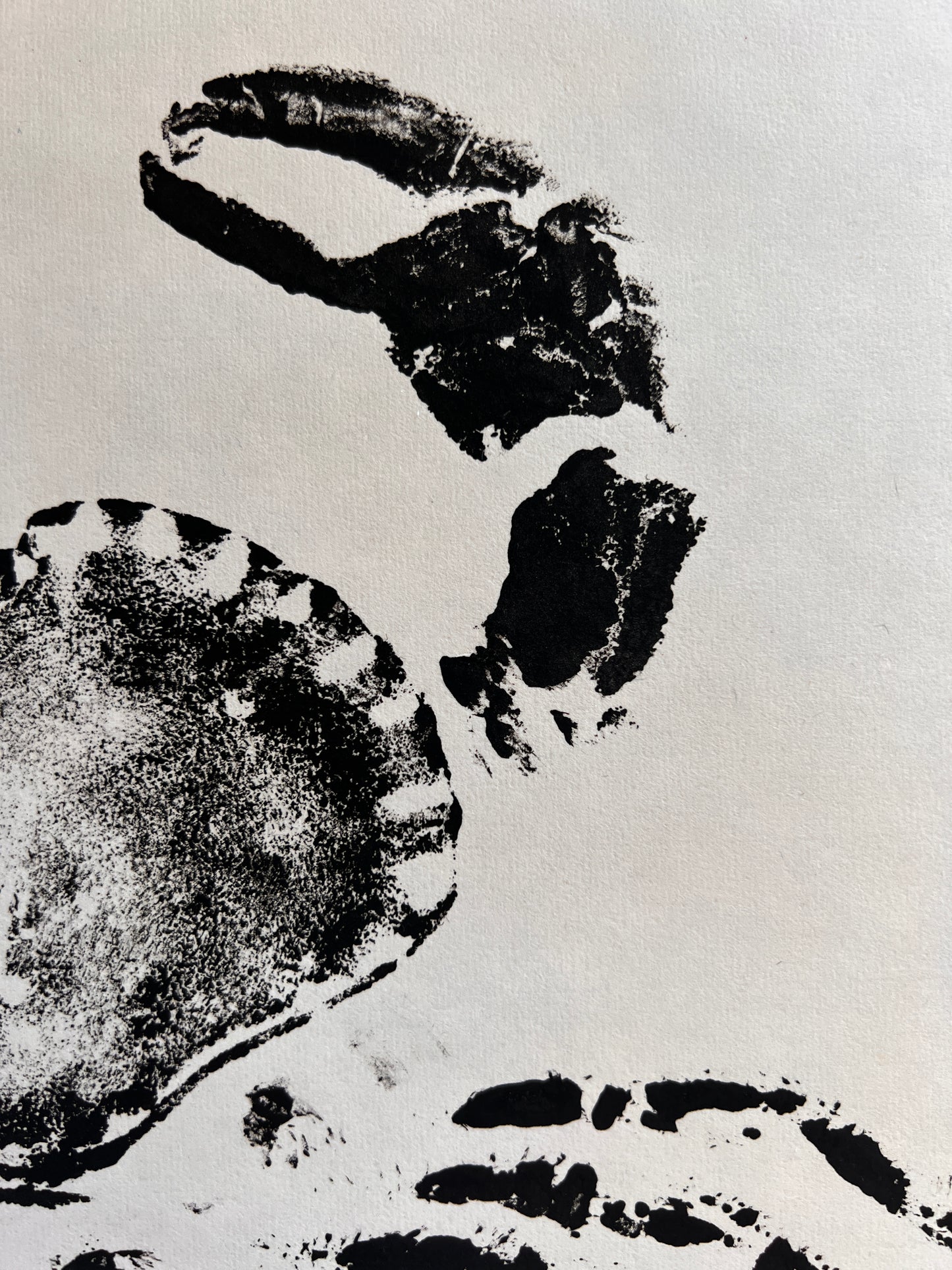 Hand Printed Gyotaku Anglesey Crab