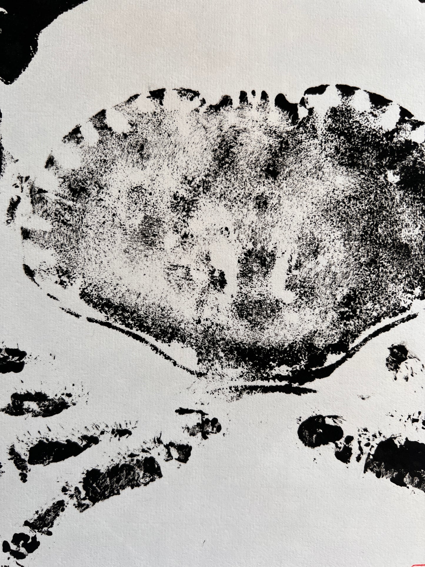 Hand Printed Gyotaku Anglesey Crab