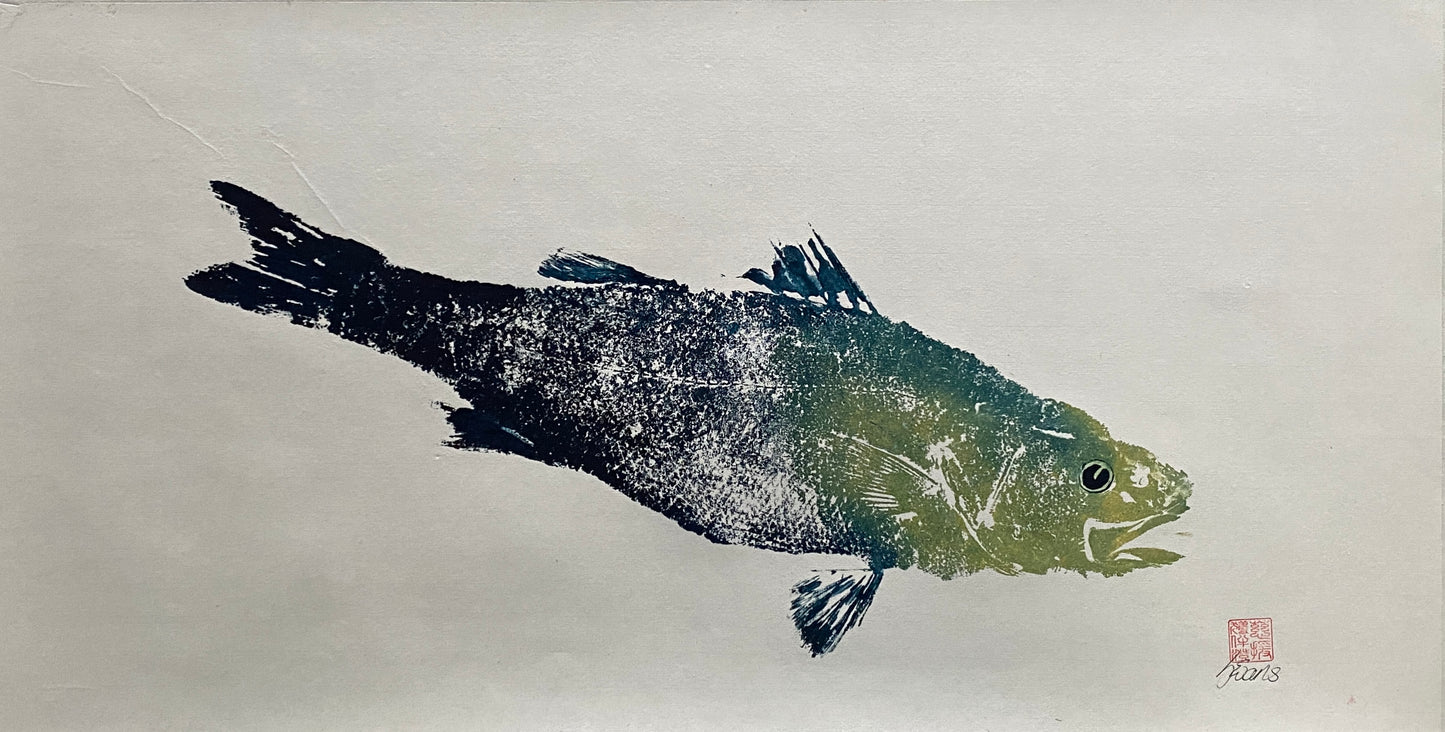 Fish Sea Bass Menai Strait Anglesey