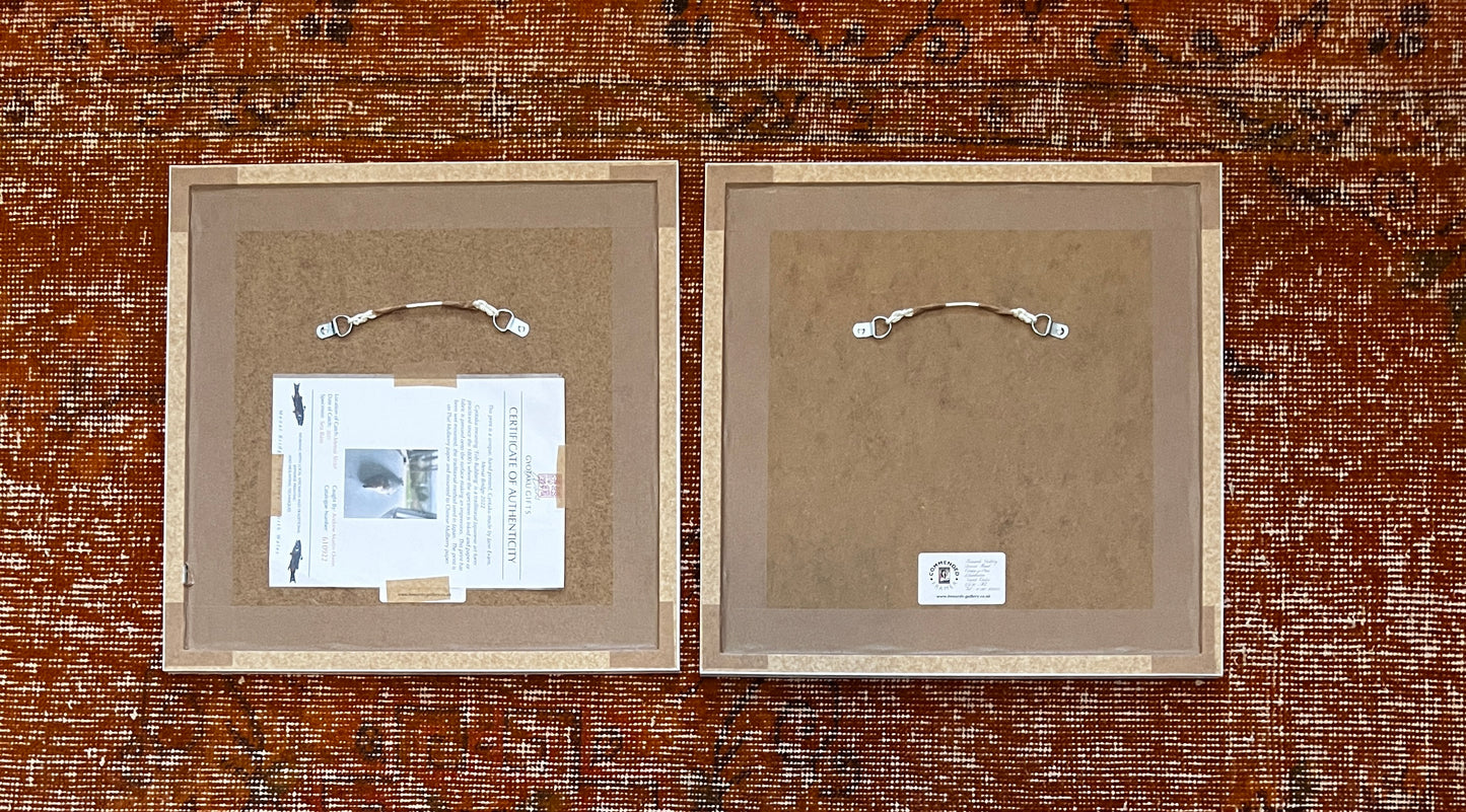 Anglesey Sea Bass Diptych Gyotaku Print