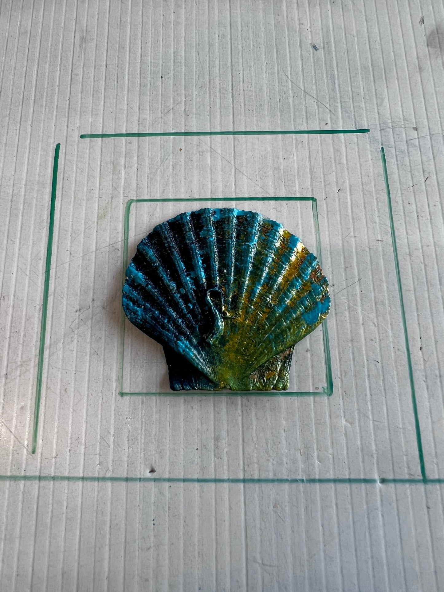 Scallop Shell Gyotaku Print Mini