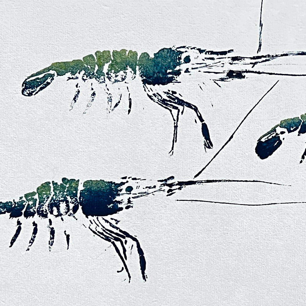 Triple print of Menai Strait Prawn