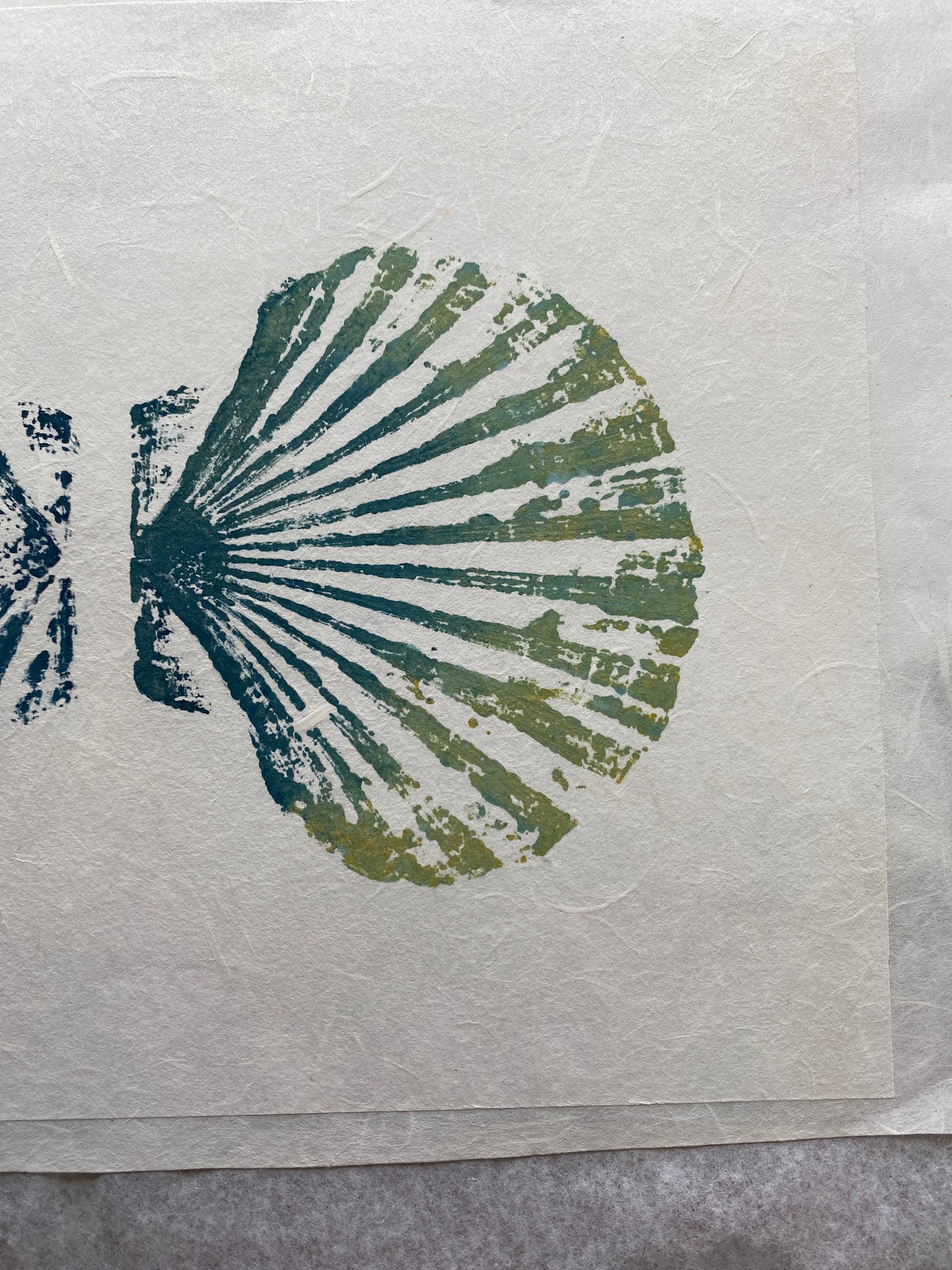 Scallop Shell Gyotaku Print, Wet Mounted