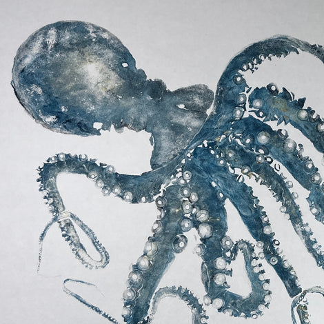CEPHALOPODS