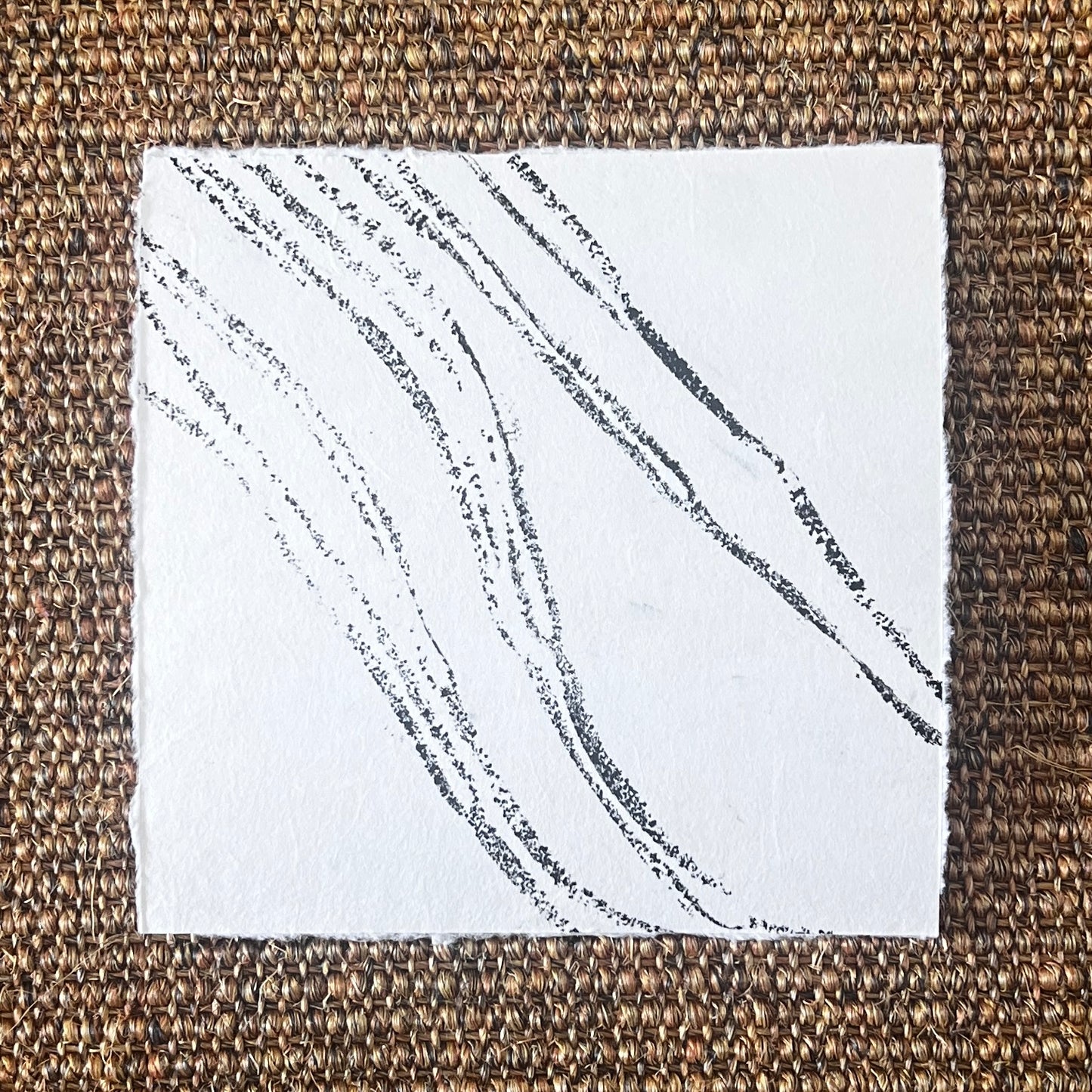 Sea Spaghetti