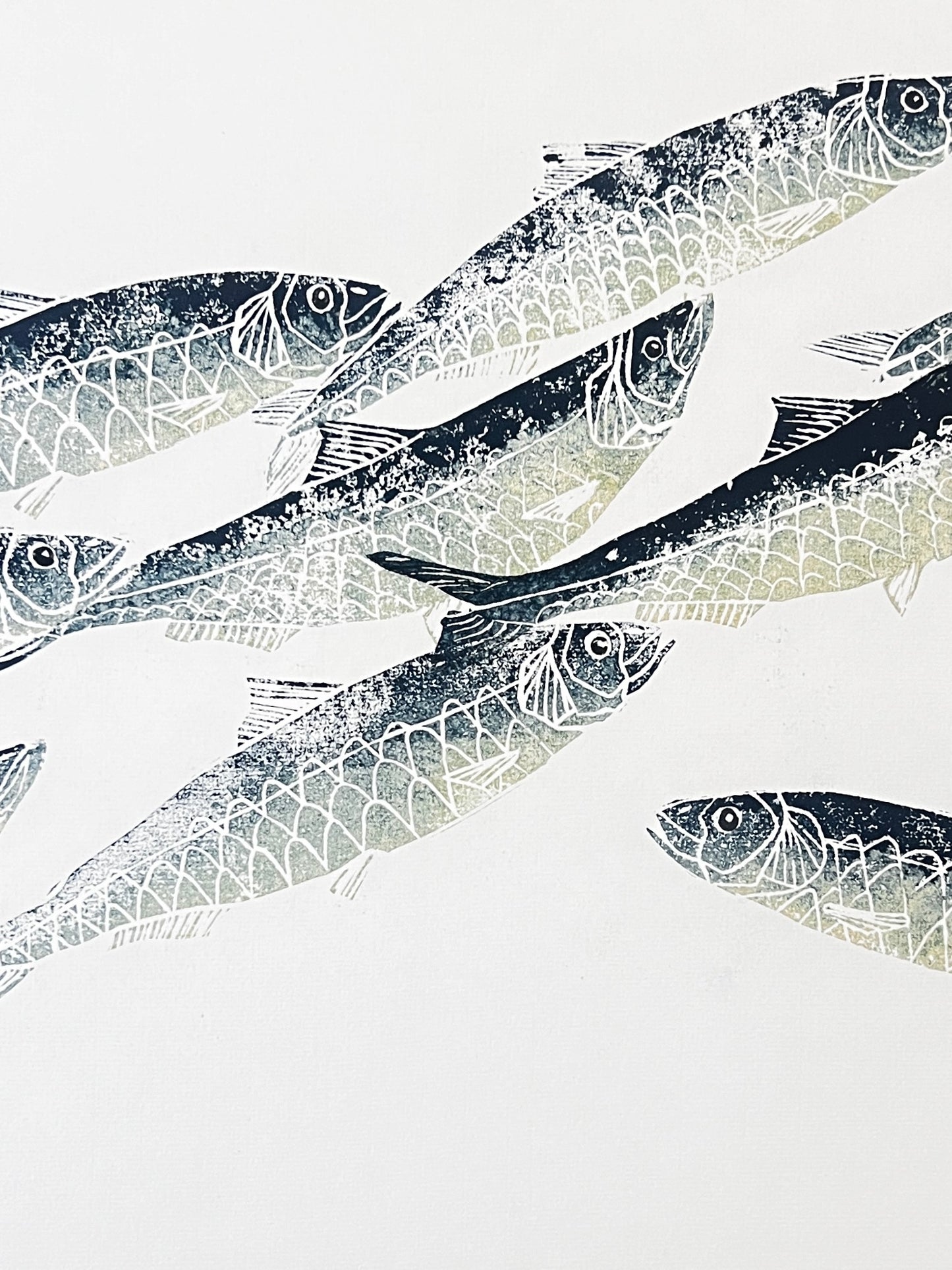Sardine Lino Print Gyotau