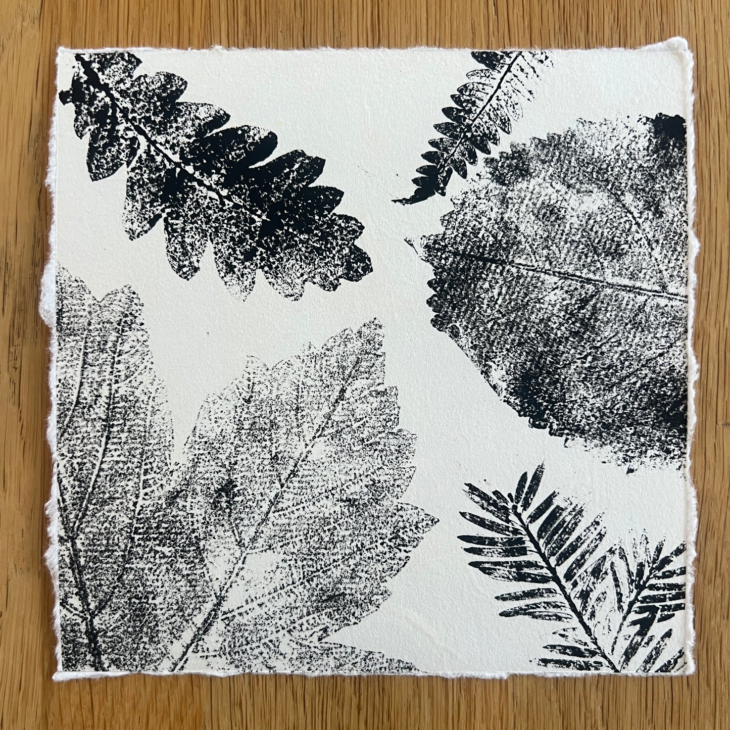 Coed Cyrnol Leaf Print – Black Ink on Thai Mulberry Paper